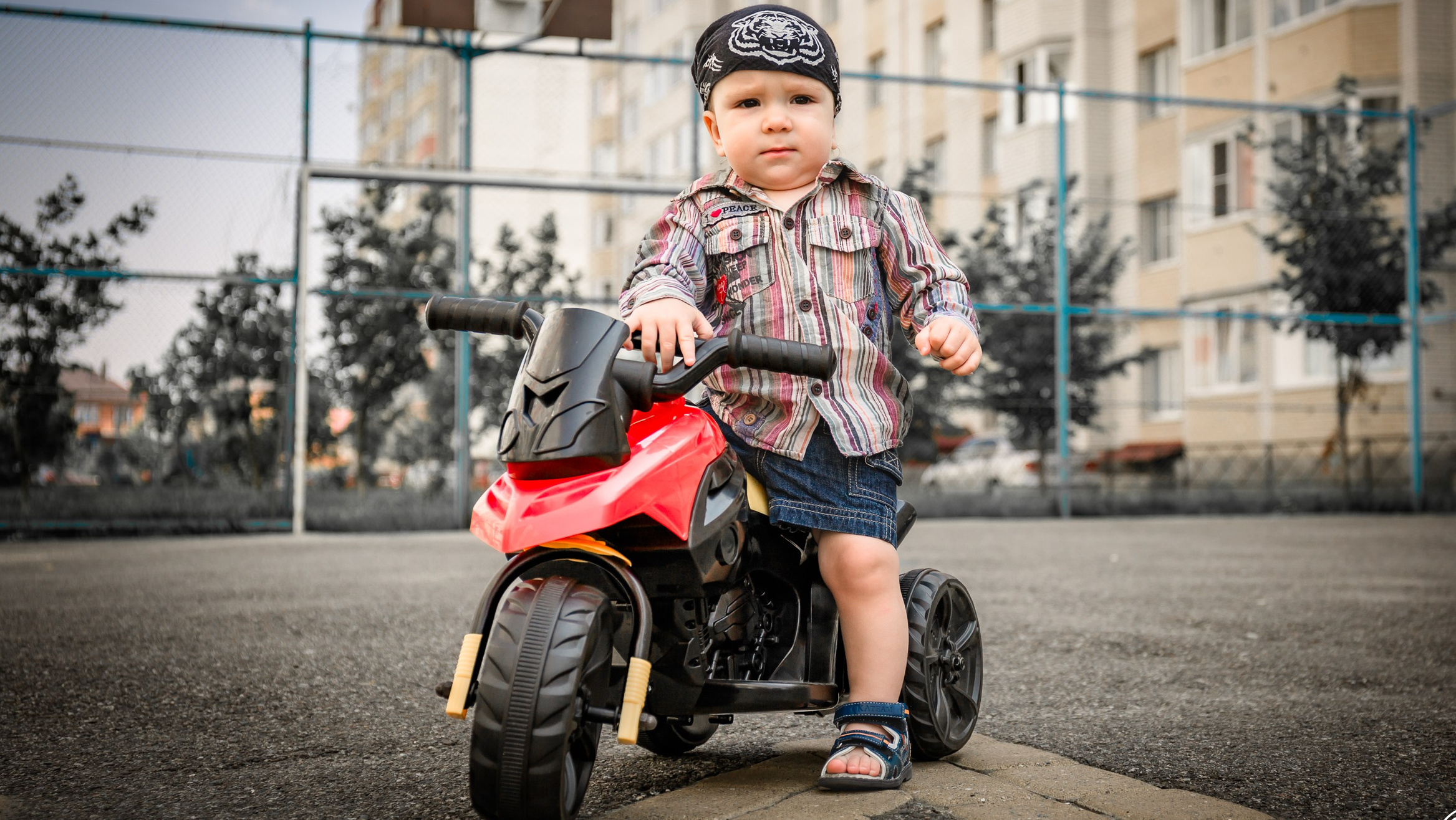 детская фотосессия на&nbsp;день рождения