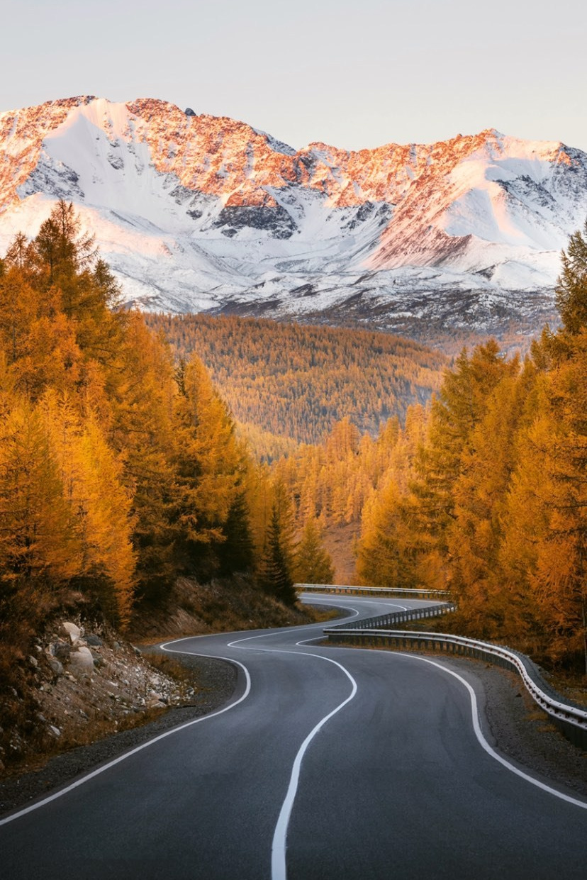 Когда ехать на Алтай?