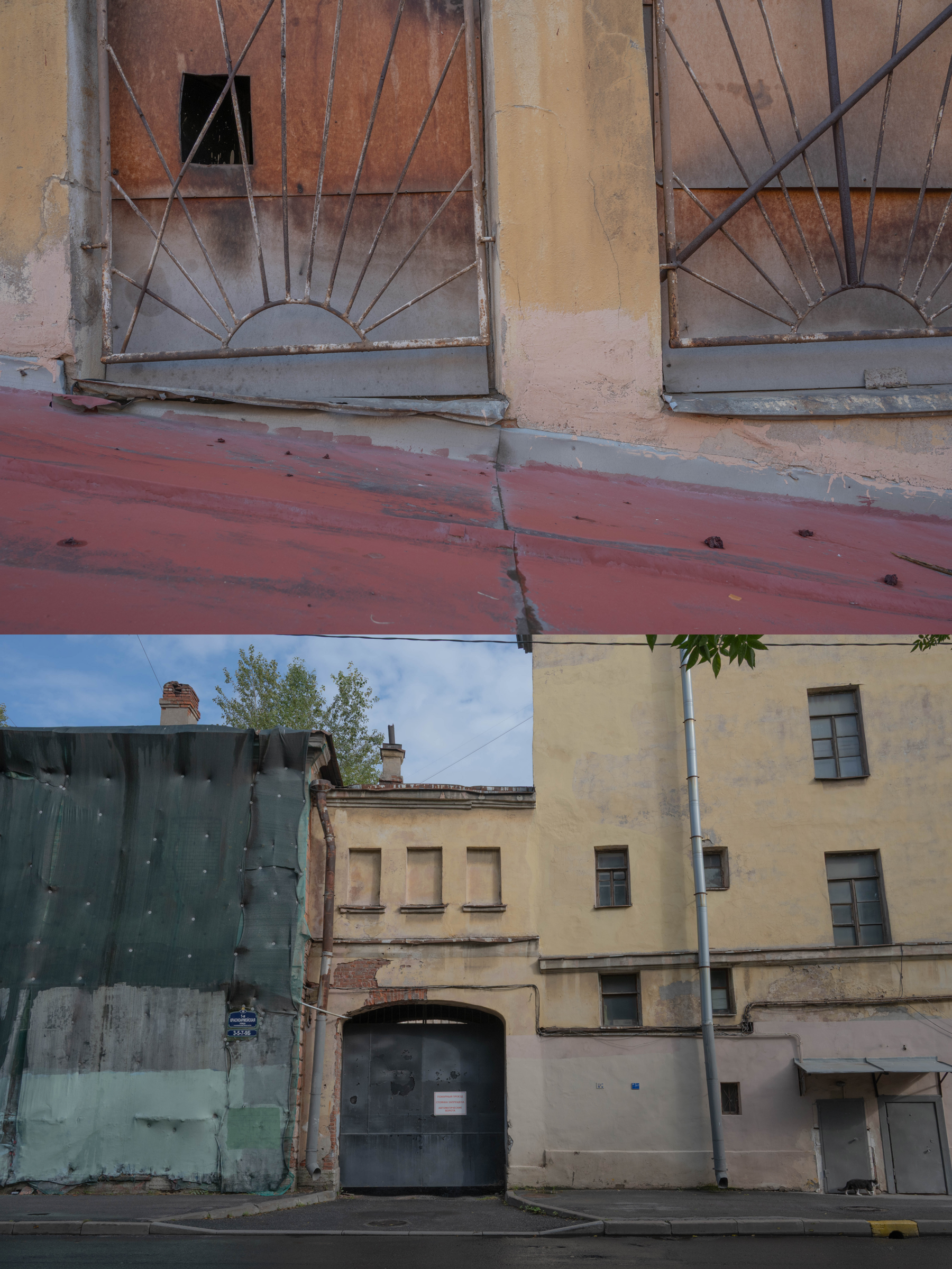 Опыт выражения. Shyjungle's Portfolio