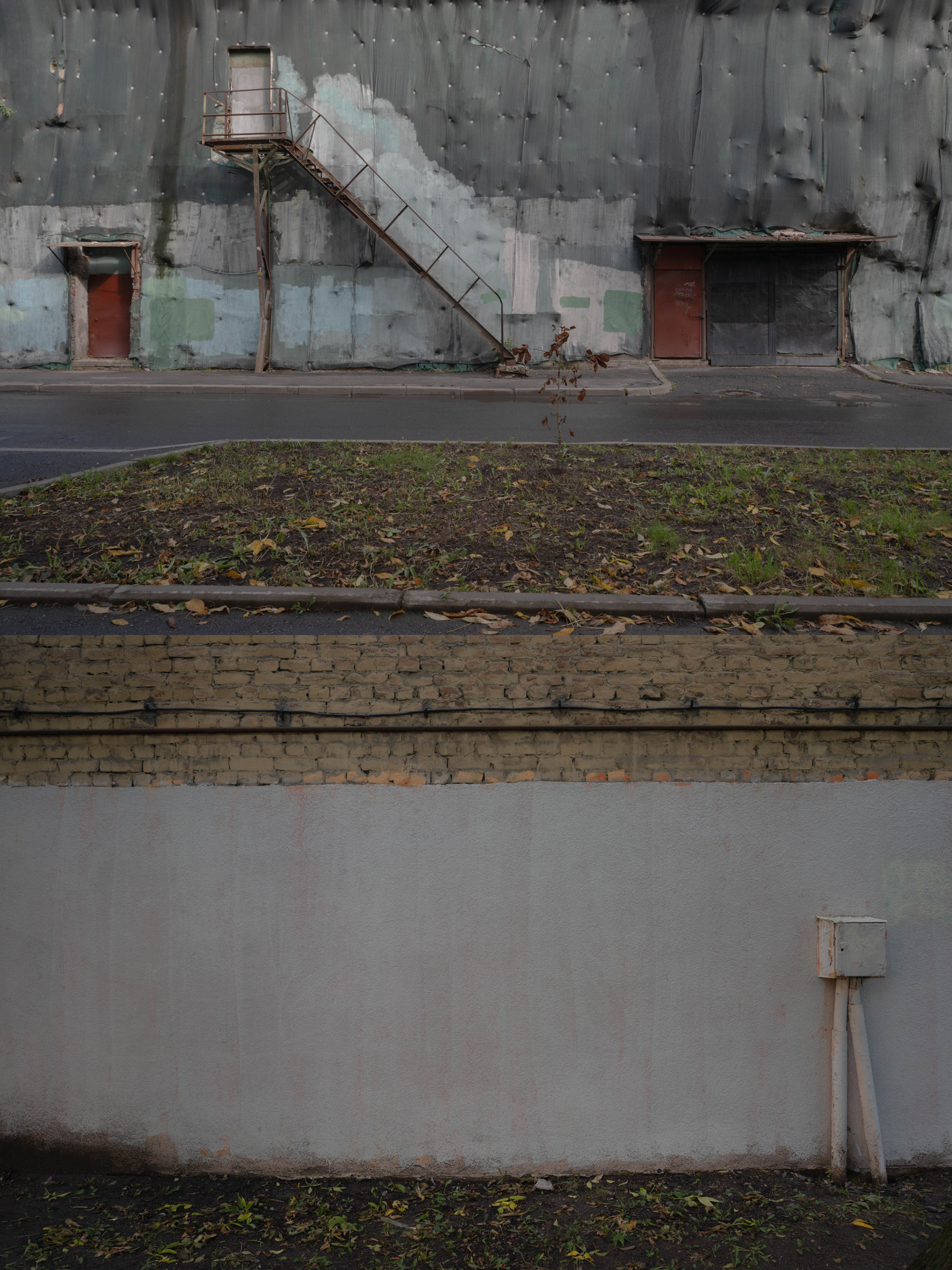 Опыт выражения. Shyjungle's Portfolio