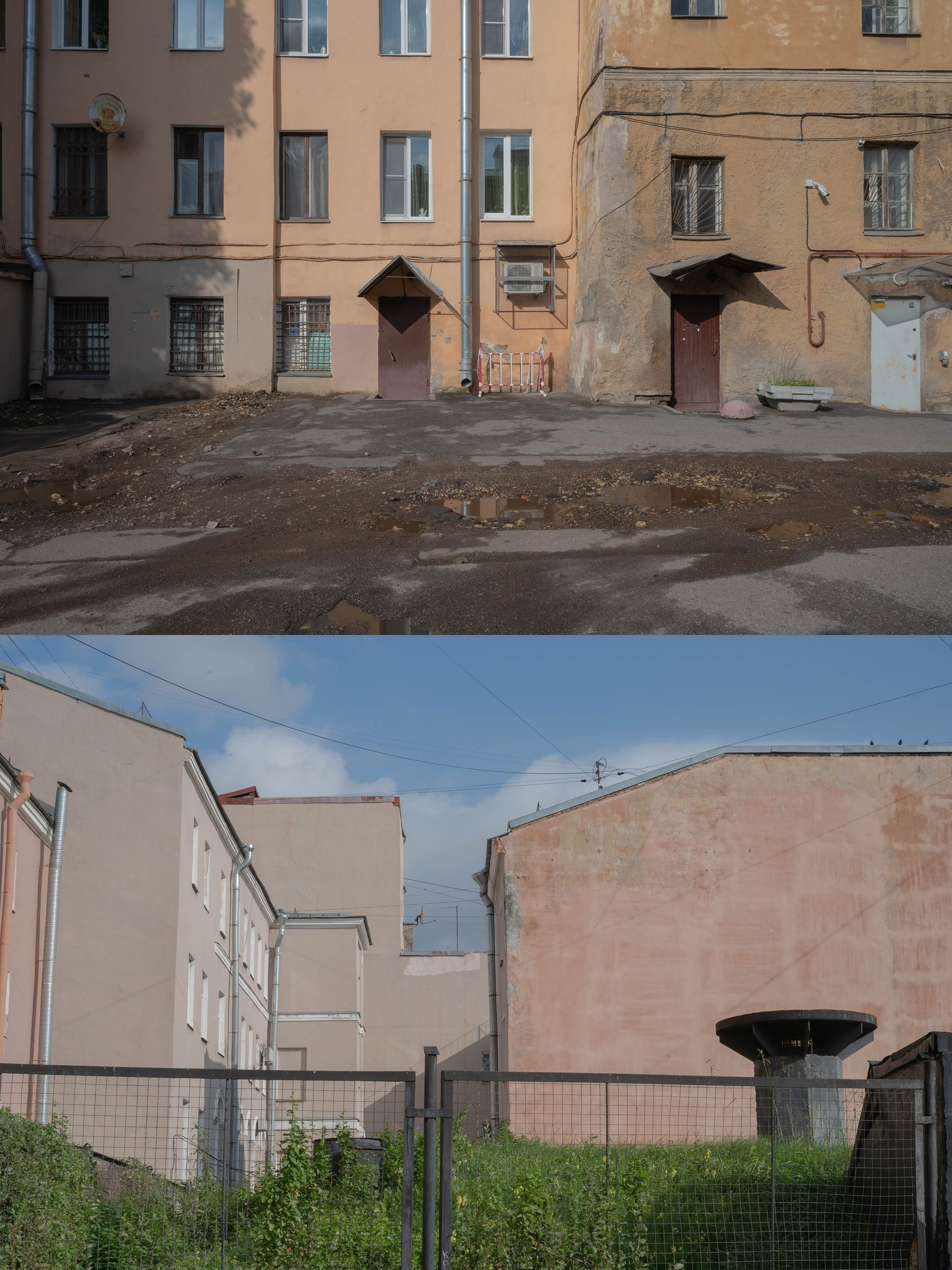 Опыт выражения. Shyjungle's Portfolio