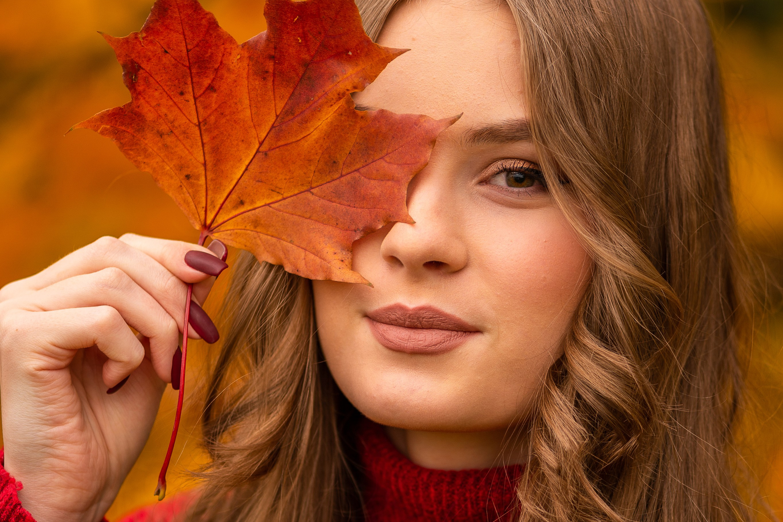 красивая молодая девушка прикрывает лицо багряным кленовым листом