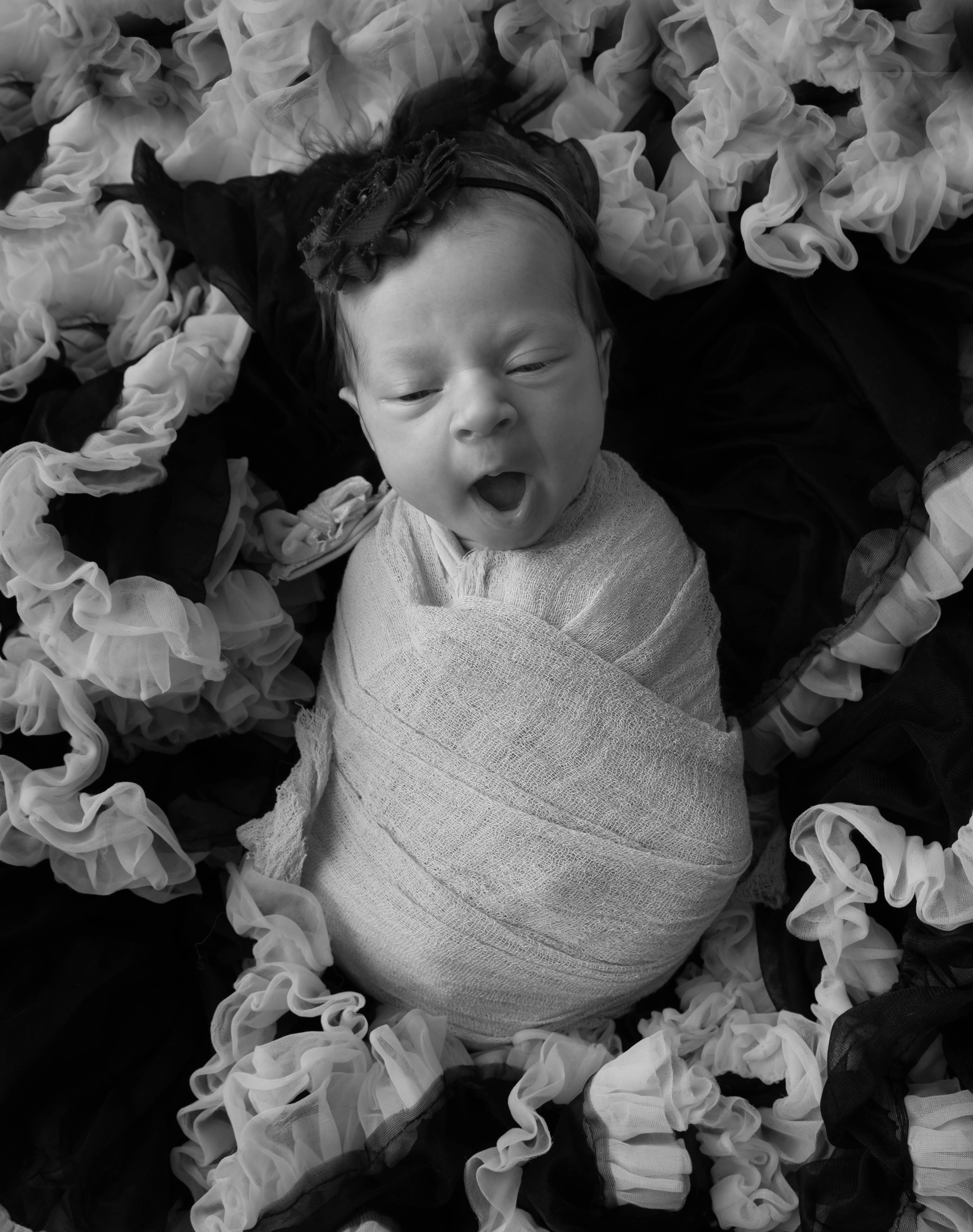 Контакты. Violinn.Photo