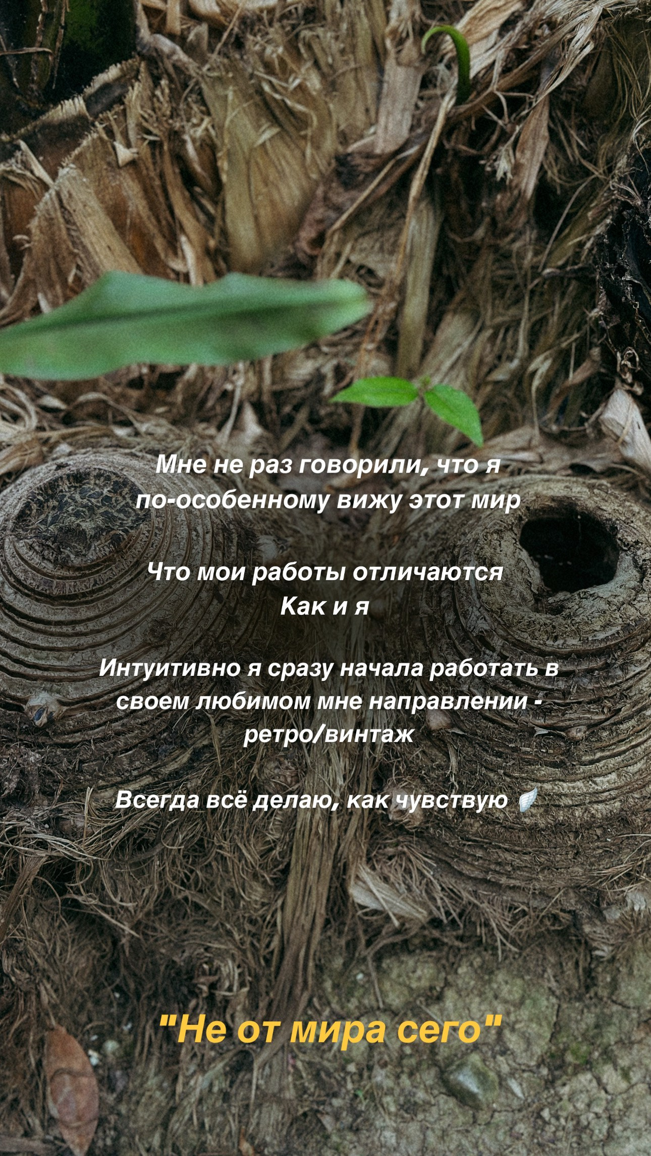 Обо мне. Чувственный мобильный фотограф в Казани и Сочи Дьяченко Дарья