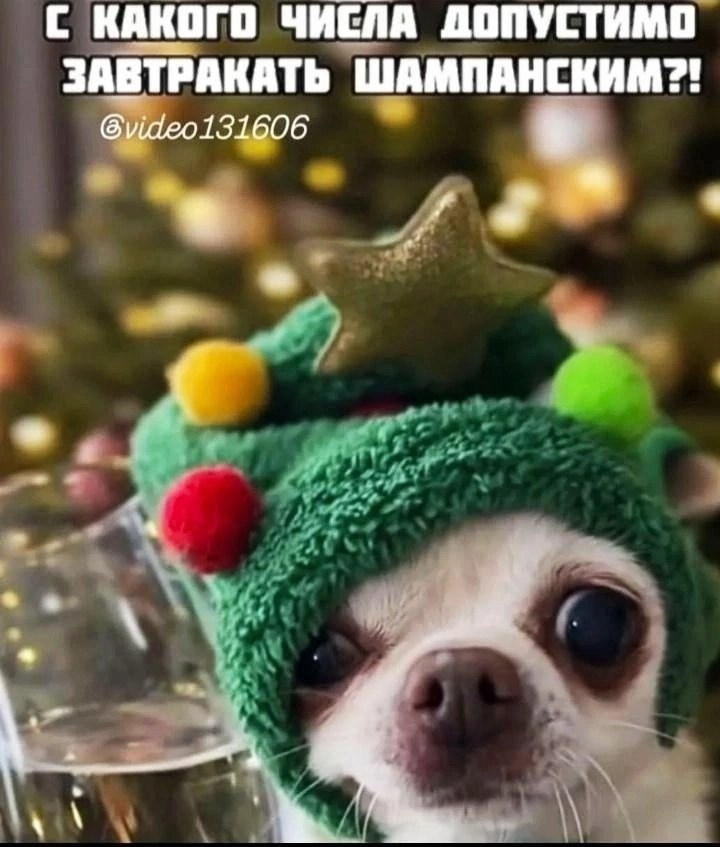 Юмор. Марина Рыбкина — Глубинная психология