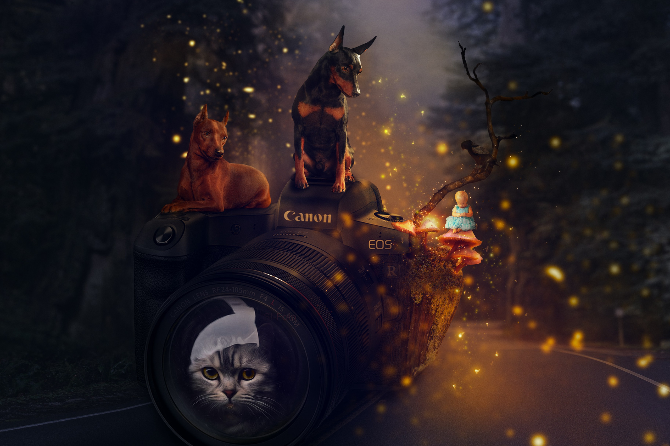 Презентация. Фотограф