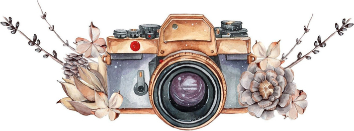 vilenafoto.ru