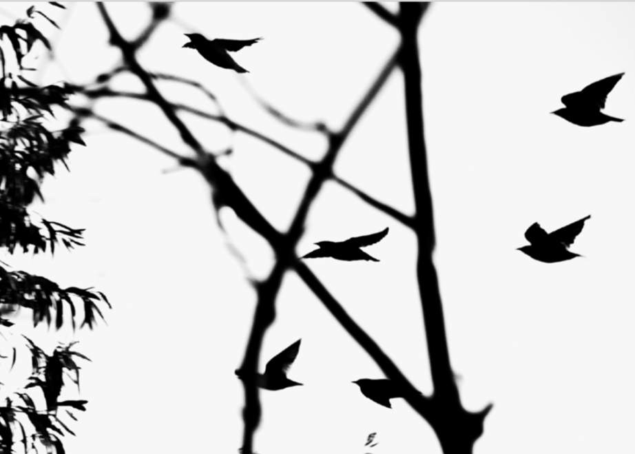 Бег во сне зин. Artist Anna Snegina Художница Анна Снегина