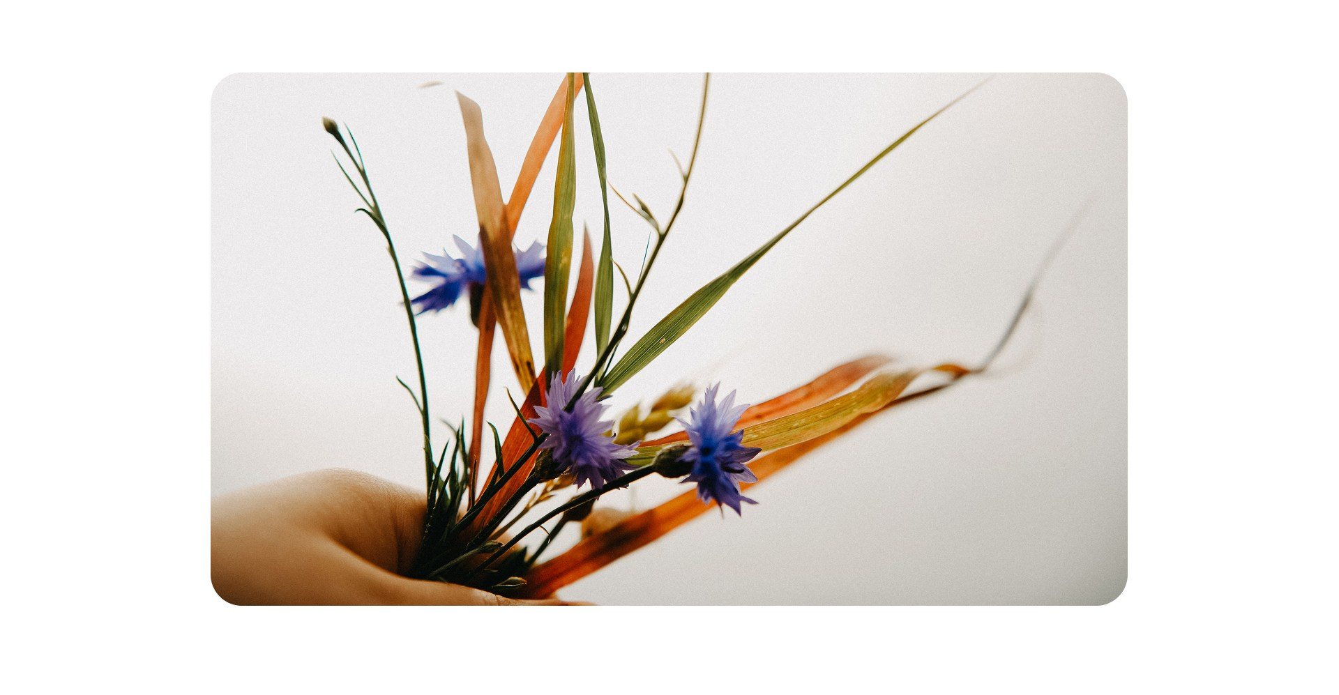 Калининград 3. Фотограф из Москвы — DASHA NOVA | Авторская фотография в разных жанрах