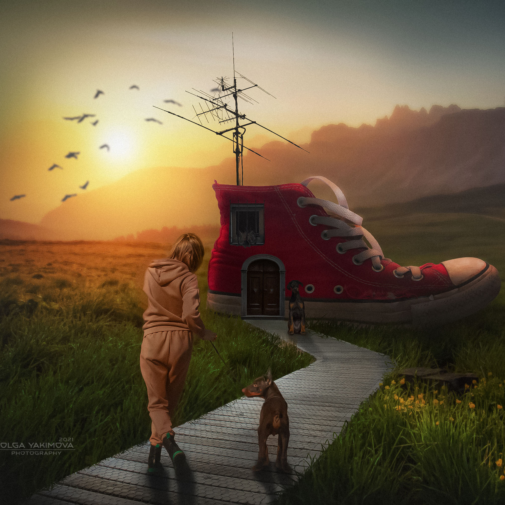 Заказать презентацию помета