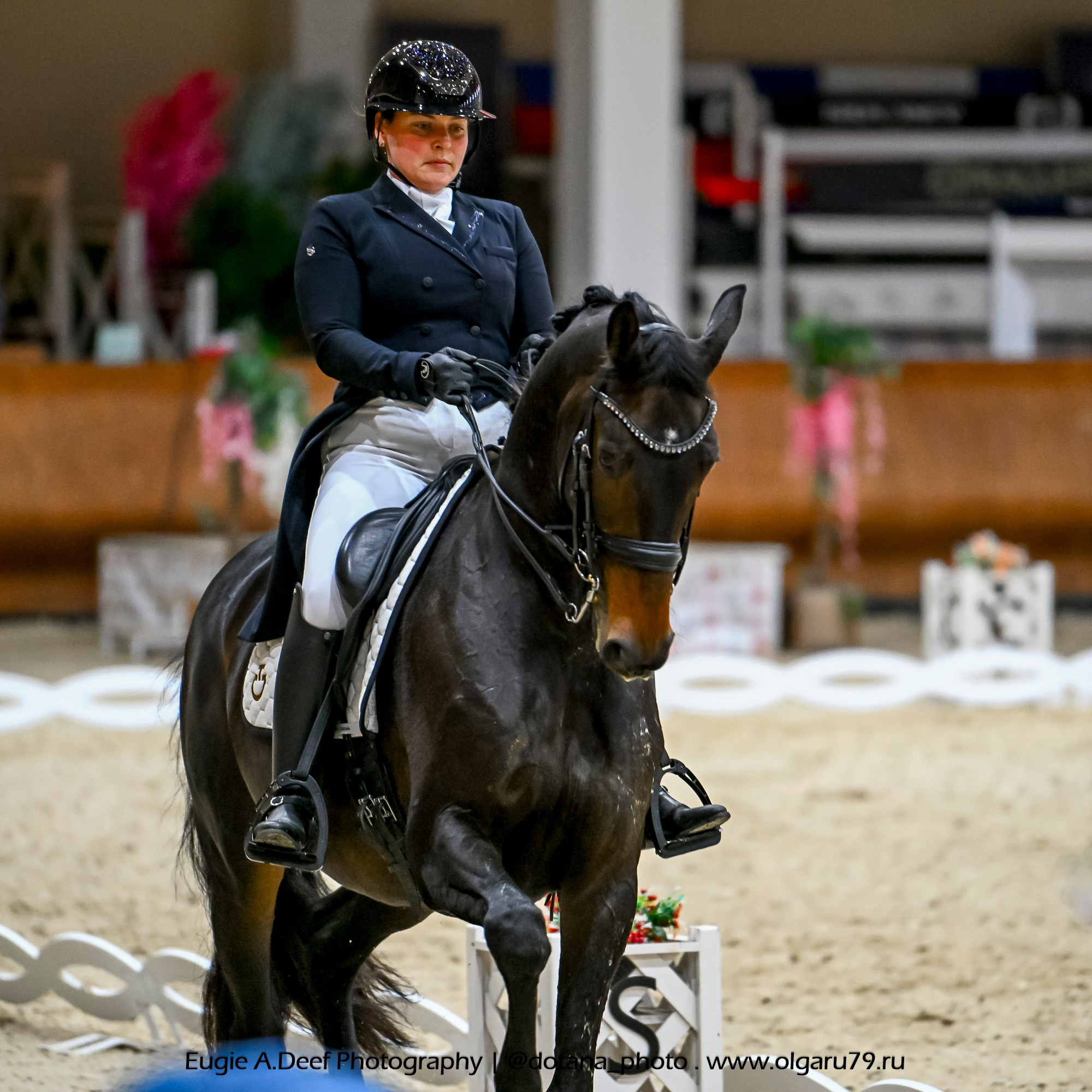 2025.10.30 и 31 — КСК Виват, Россия! (выездка). ТУРНИРНАЯ КОННАЯ ФОТОГРАФИЯ, Руднева Ольга и Евгений Адеев
