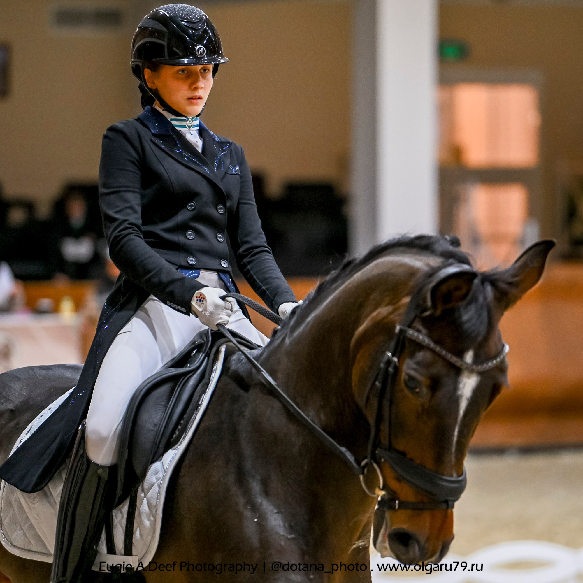 2025.10.30 и 31 — КСК Виват, Россия! (выездка). ТУРНИРНАЯ КОННАЯ ФОТОГРАФИЯ, Руднева Ольга и Евгений Адеев