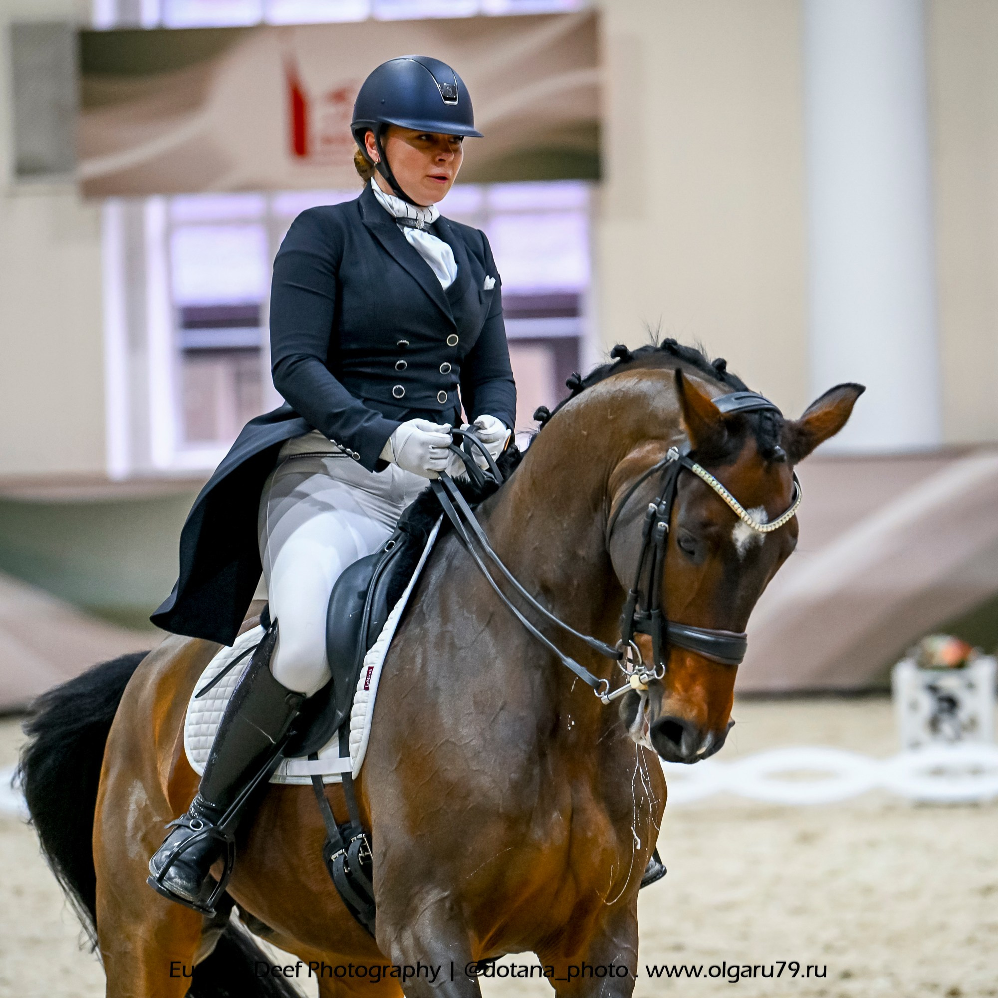 2025.10.30 и 31 — КСК Виват, Россия! (выездка). ТУРНИРНАЯ КОННАЯ ФОТОГРАФИЯ, Руднева Ольга и Евгений Адеев