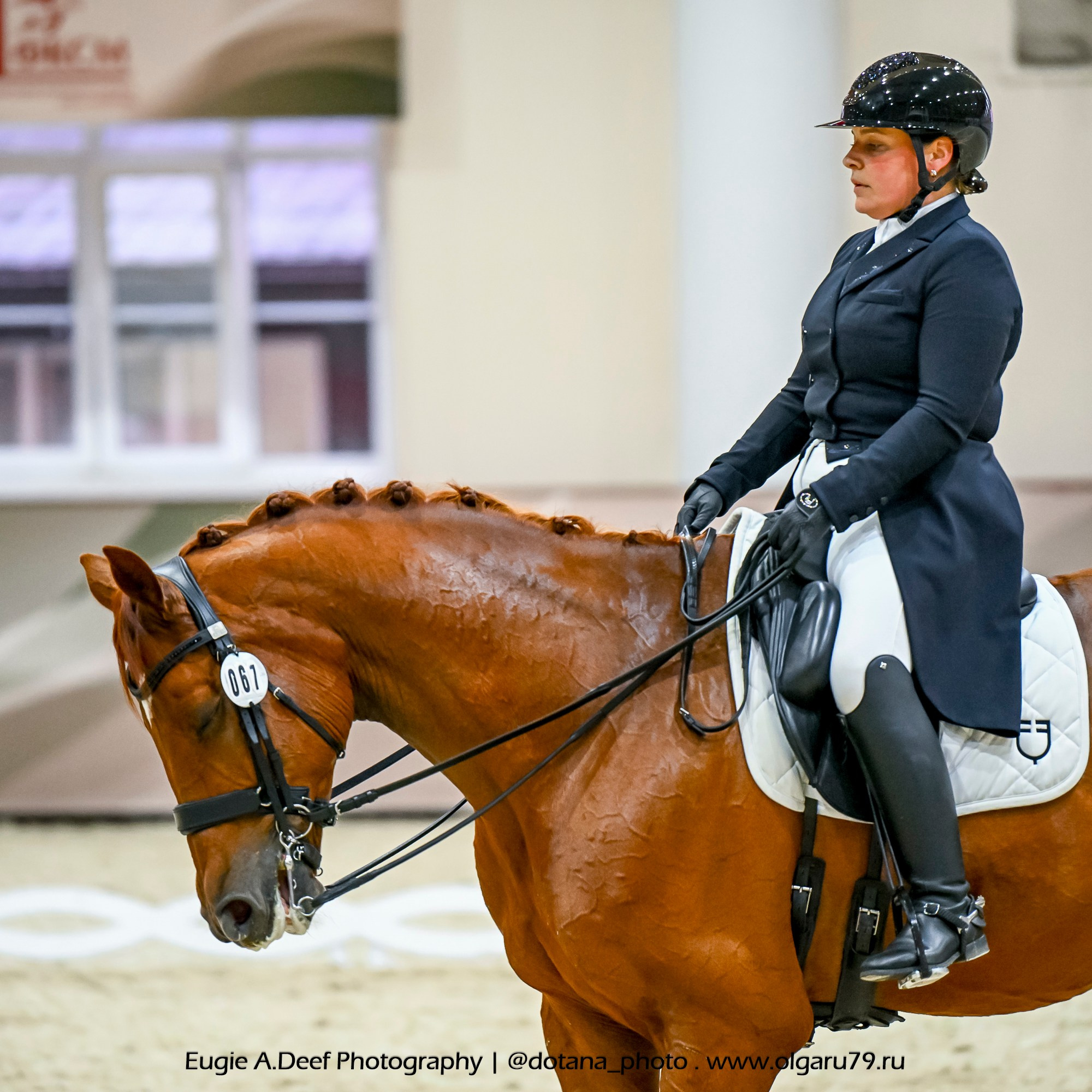 2025.10.30 и 31 — КСК Виват, Россия! (выездка). ТУРНИРНАЯ КОННАЯ ФОТОГРАФИЯ, Руднева Ольга и Евгений Адеев