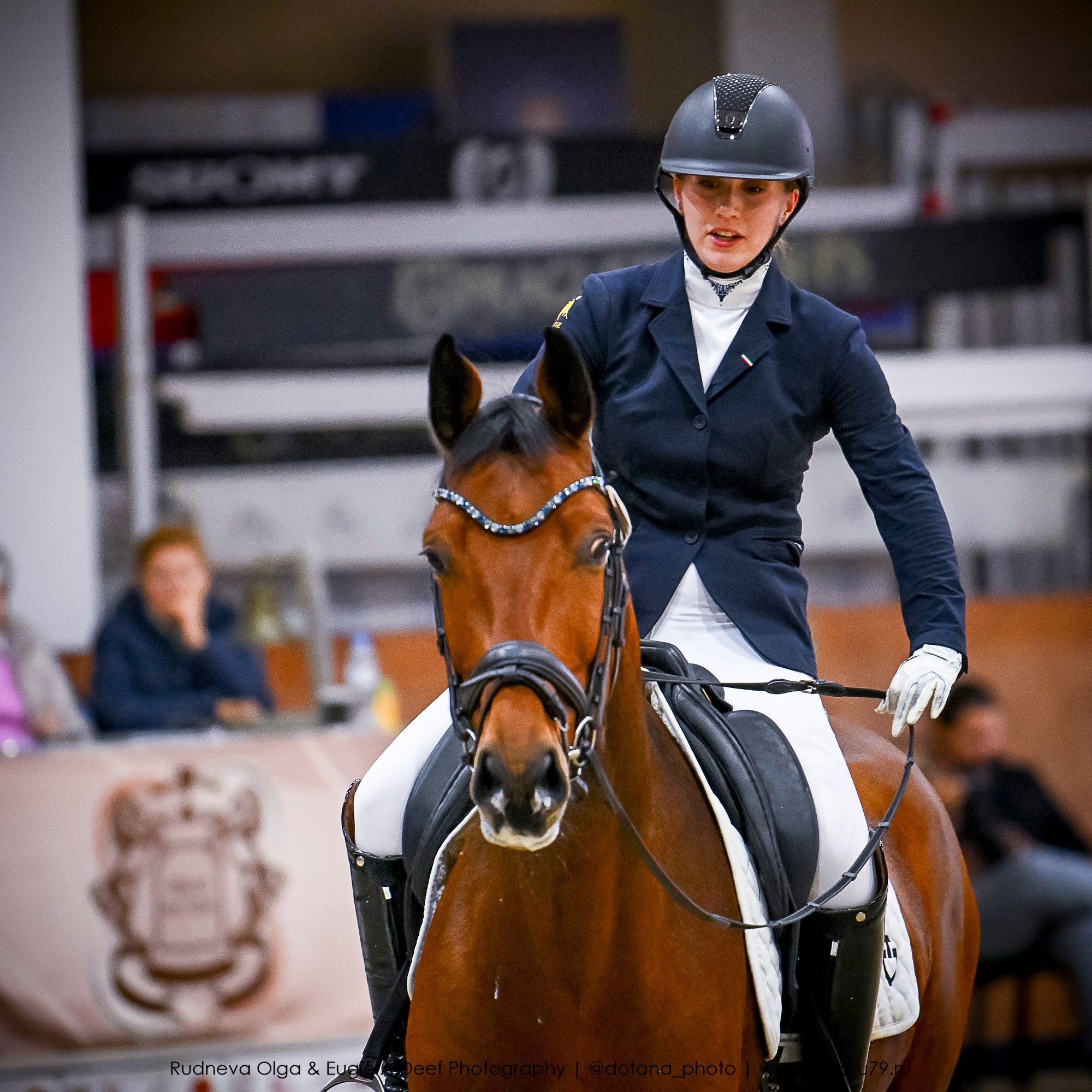 2025.10.30 и 31 — КСК Виват, Россия! (выездка). ТУРНИРНАЯ КОННАЯ ФОТОГРАФИЯ, Руднева Ольга и Евгений Адеев