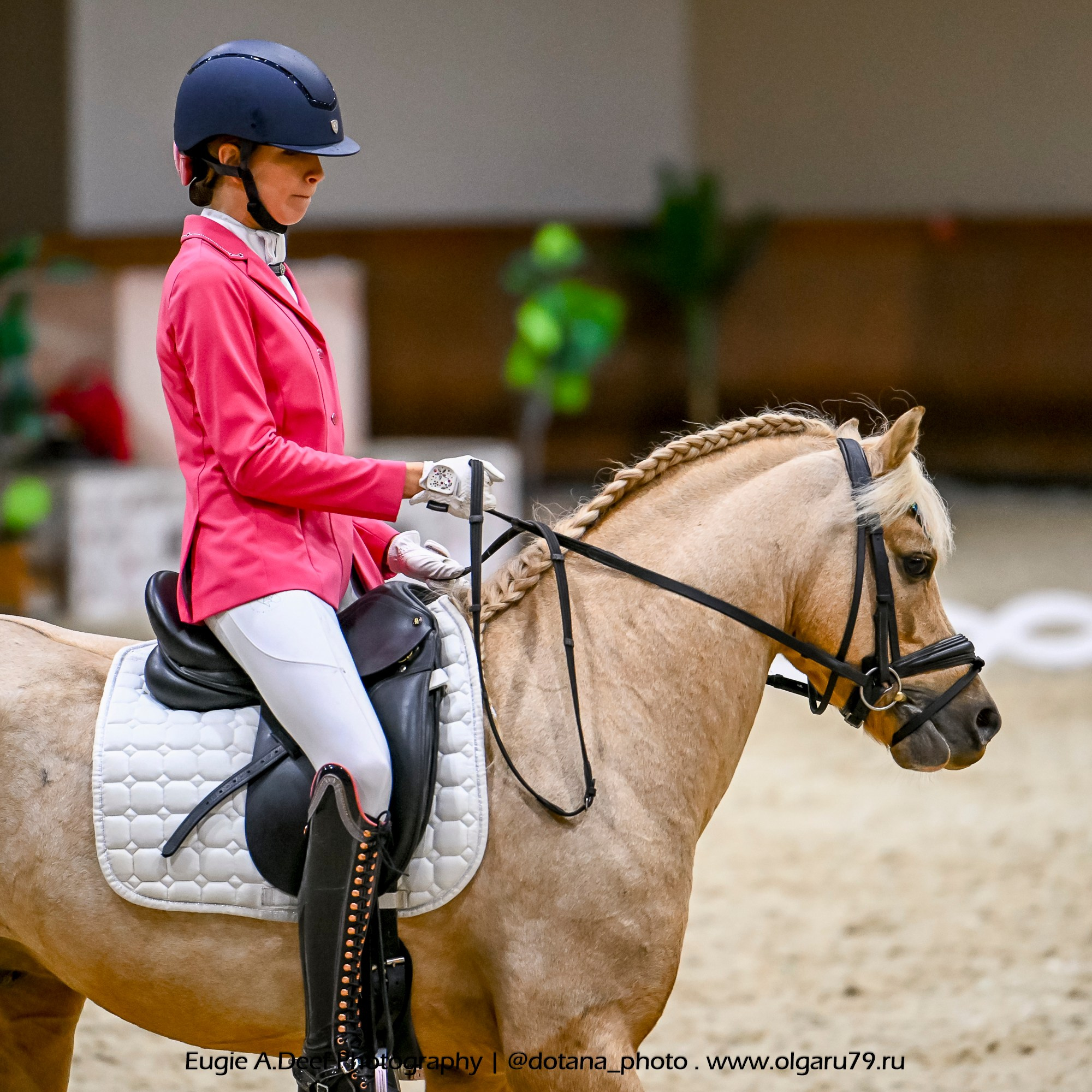 2025.10.30 и 31 — КСК Виват, Россия! (выездка). ТУРНИРНАЯ КОННАЯ ФОТОГРАФИЯ, Руднева Ольга и Евгений Адеев