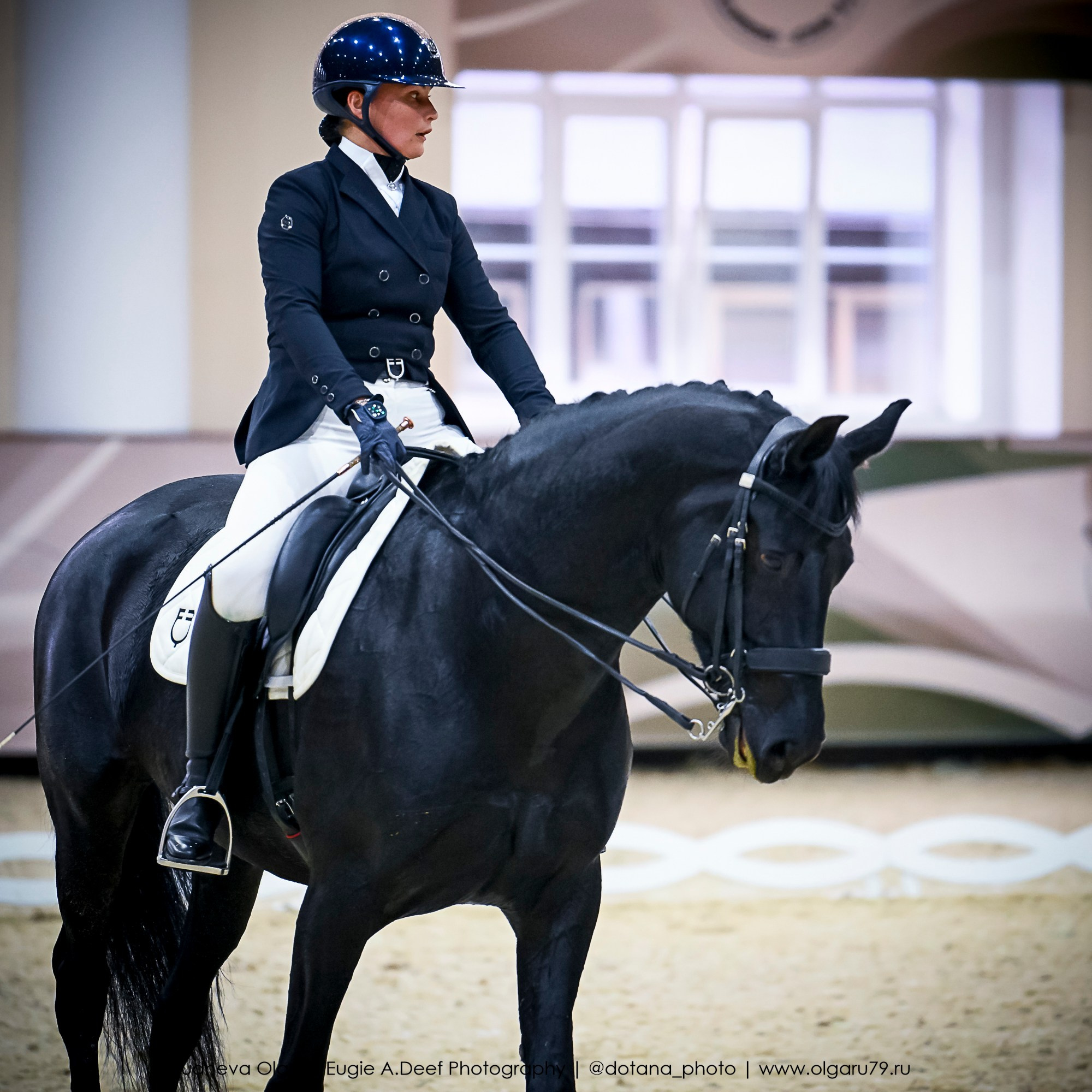 2025.10.30 и 31 — КСК Виват, Россия! (выездка). ТУРНИРНАЯ КОННАЯ ФОТОГРАФИЯ, Руднева Ольга и Евгений Адеев