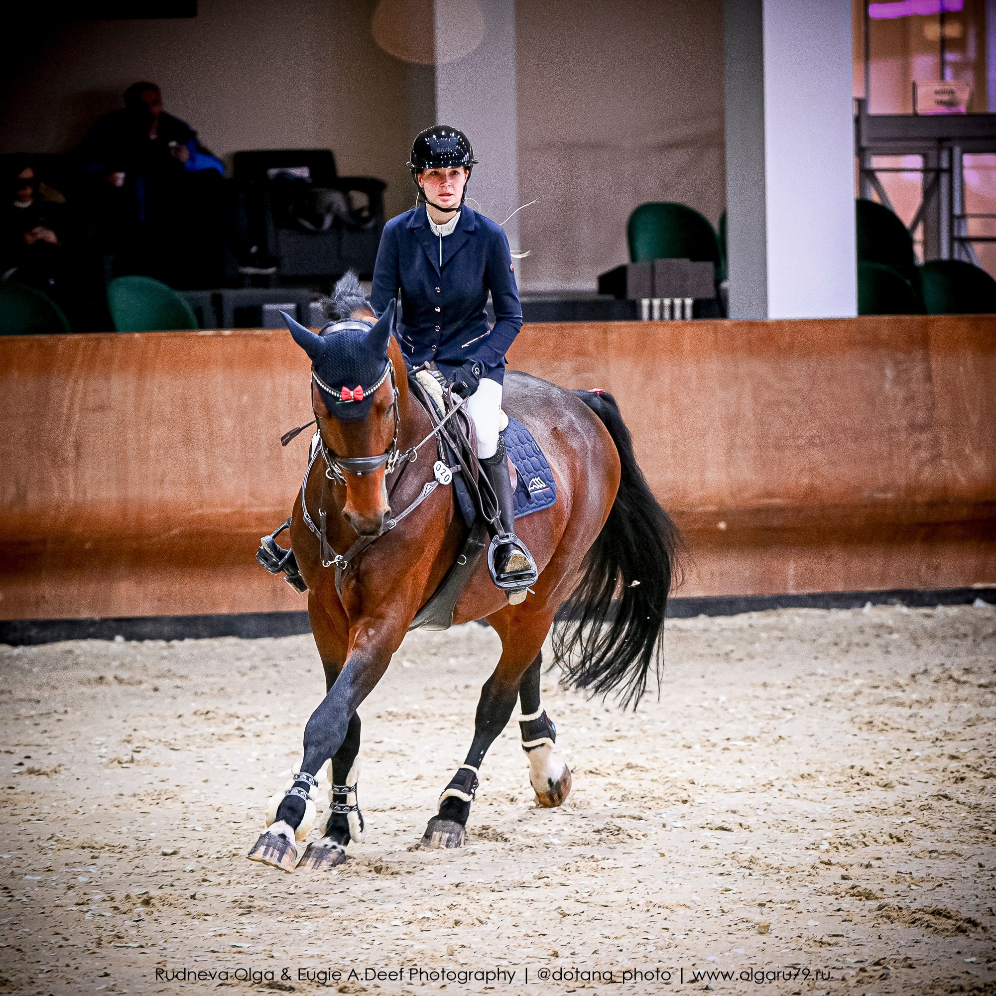 2025.10.26 — КСК Виват, Россия! конкур. ТУРНИРНАЯ КОННАЯ ФОТОГРАФИЯ, Руднева Ольга и Евгений Адеев