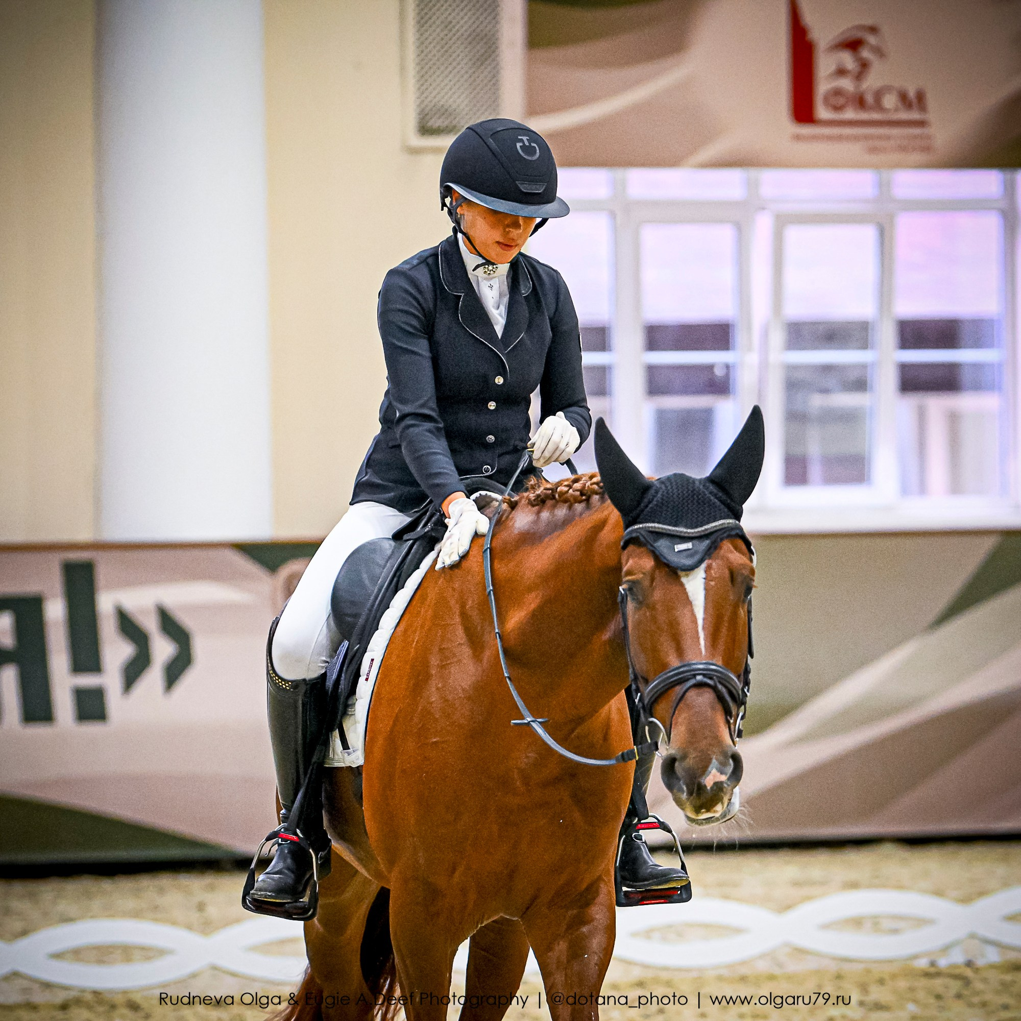 2025.10.30 и 31 — КСК Виват, Россия! (выездка). ТУРНИРНАЯ КОННАЯ ФОТОГРАФИЯ, Руднева Ольга и Евгений Адеев