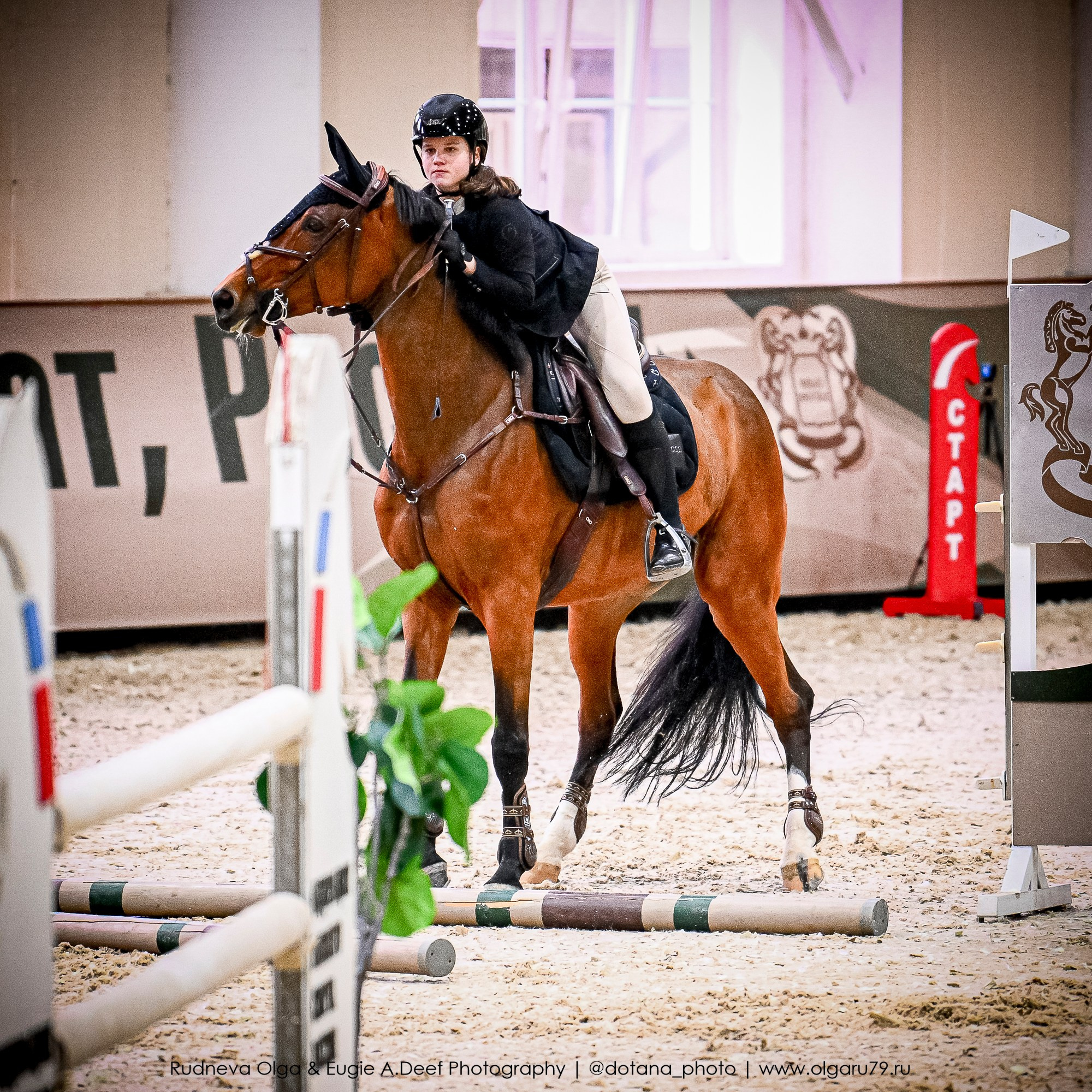 2025.10.26 — КСК Виват, Россия! конкур. ТУРНИРНАЯ КОННАЯ ФОТОГРАФИЯ, Руднева Ольга и Евгений Адеев