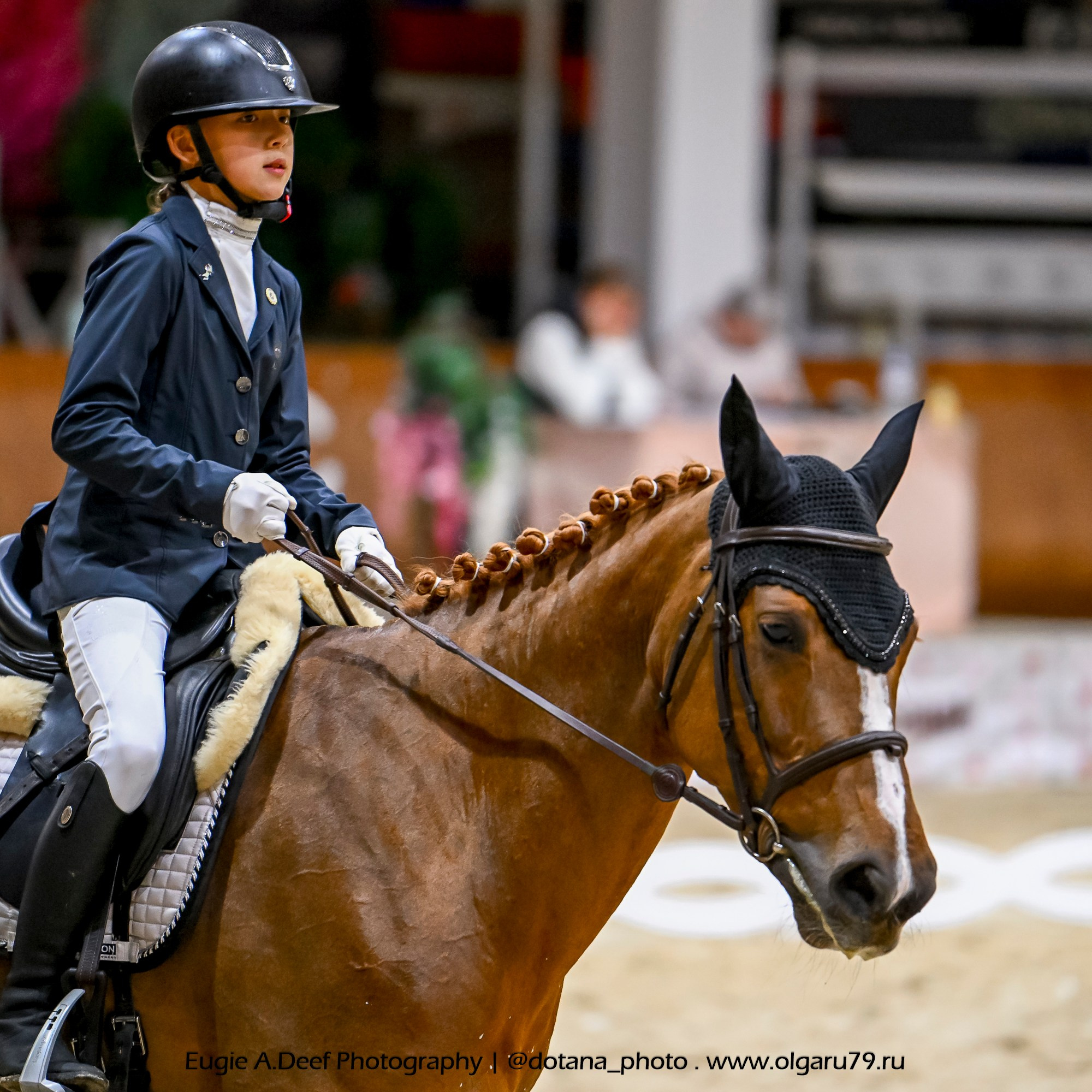 2025.10.30 и 31 — КСК Виват, Россия! (выездка). ТУРНИРНАЯ КОННАЯ ФОТОГРАФИЯ, Руднева Ольга и Евгений Адеев