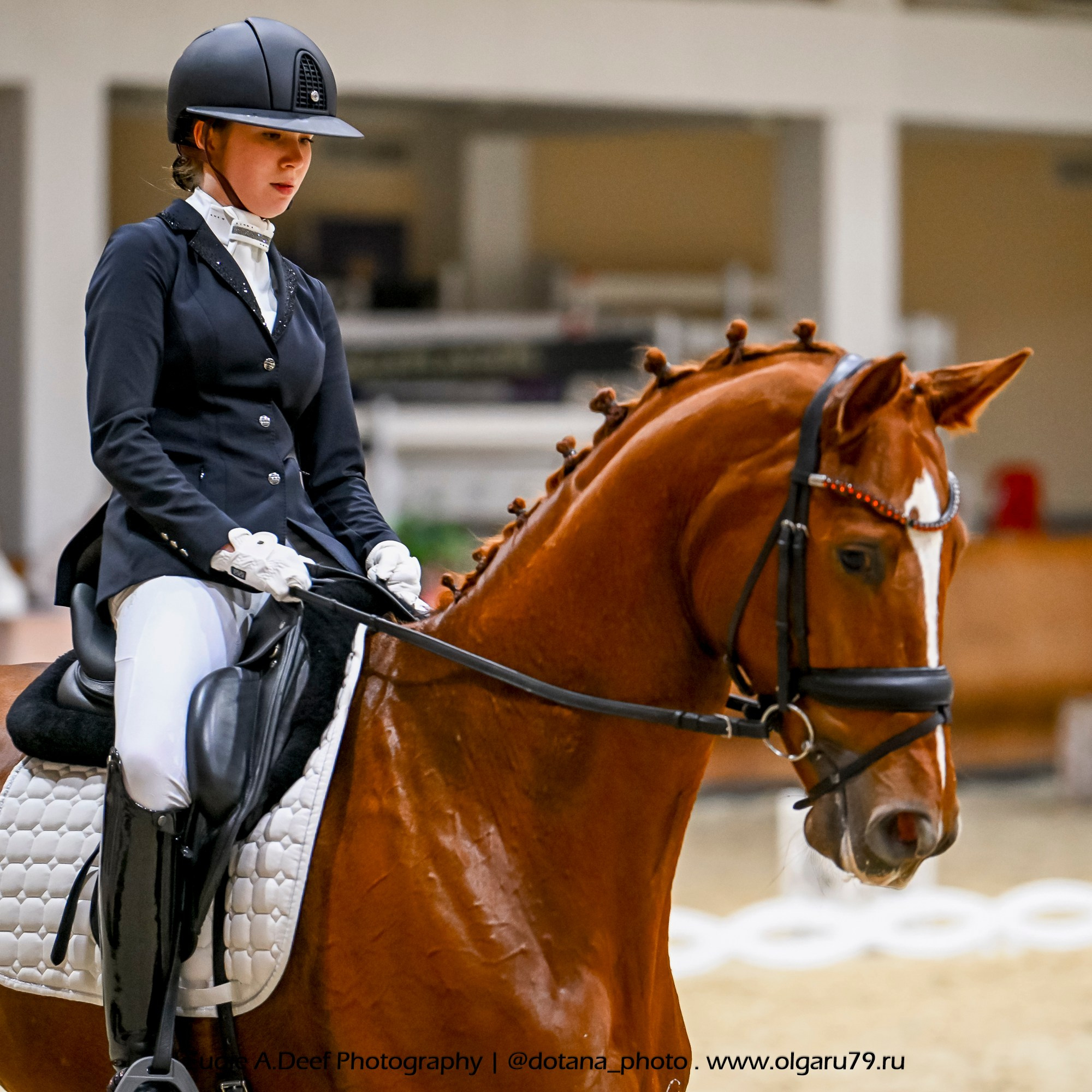 2025.10.30 и 31 — КСК Виват, Россия! (выездка). ТУРНИРНАЯ КОННАЯ ФОТОГРАФИЯ, Руднева Ольга и Евгений Адеев