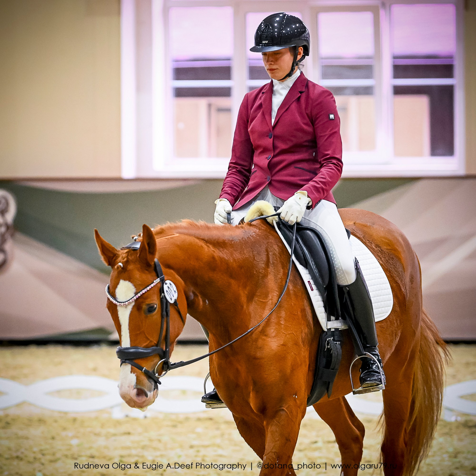 2025.10.30 и 31 — КСК Виват, Россия! (выездка). ТУРНИРНАЯ КОННАЯ ФОТОГРАФИЯ, Руднева Ольга и Евгений Адеев