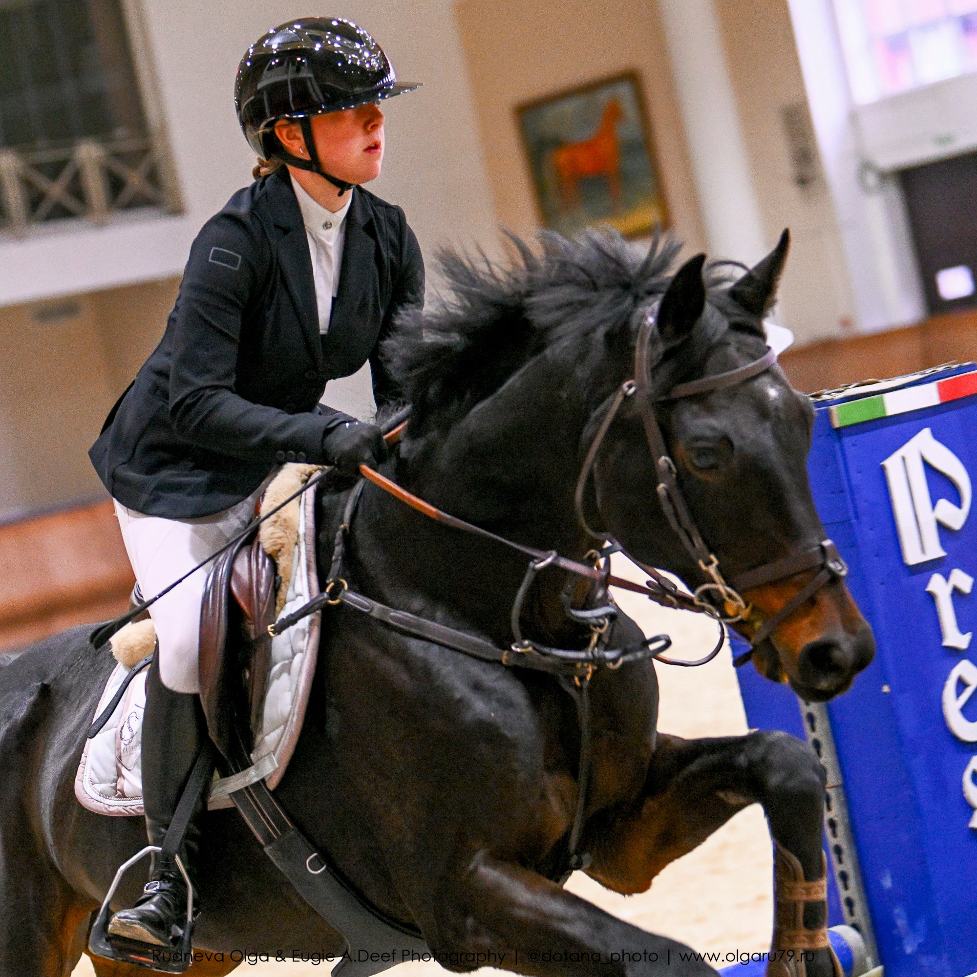 2025.10.26 — КСК Виват, Россия! конкур. ТУРНИРНАЯ КОННАЯ ФОТОГРАФИЯ, Руднева Ольга и Евгений Адеев