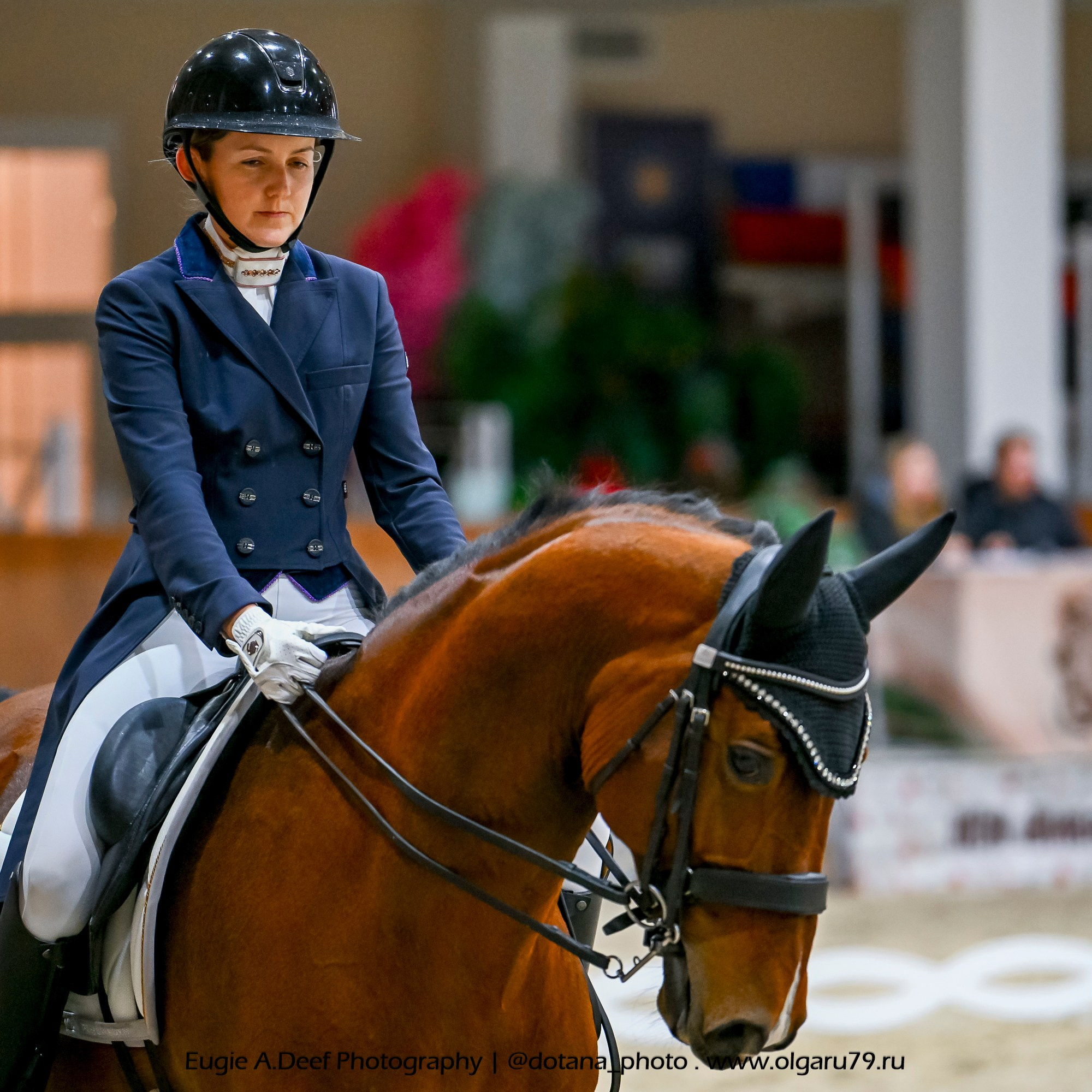 2025.10.30 и 31 — КСК Виват, Россия! (выездка). ТУРНИРНАЯ КОННАЯ ФОТОГРАФИЯ, Руднева Ольга и Евгений Адеев