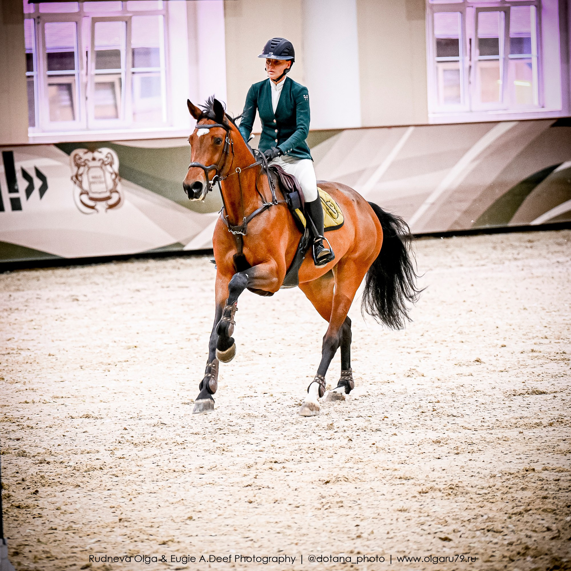 2025.10.26 — КСК Виват, Россия! конкур. ТУРНИРНАЯ КОННАЯ ФОТОГРАФИЯ, Руднева Ольга и Евгений Адеев