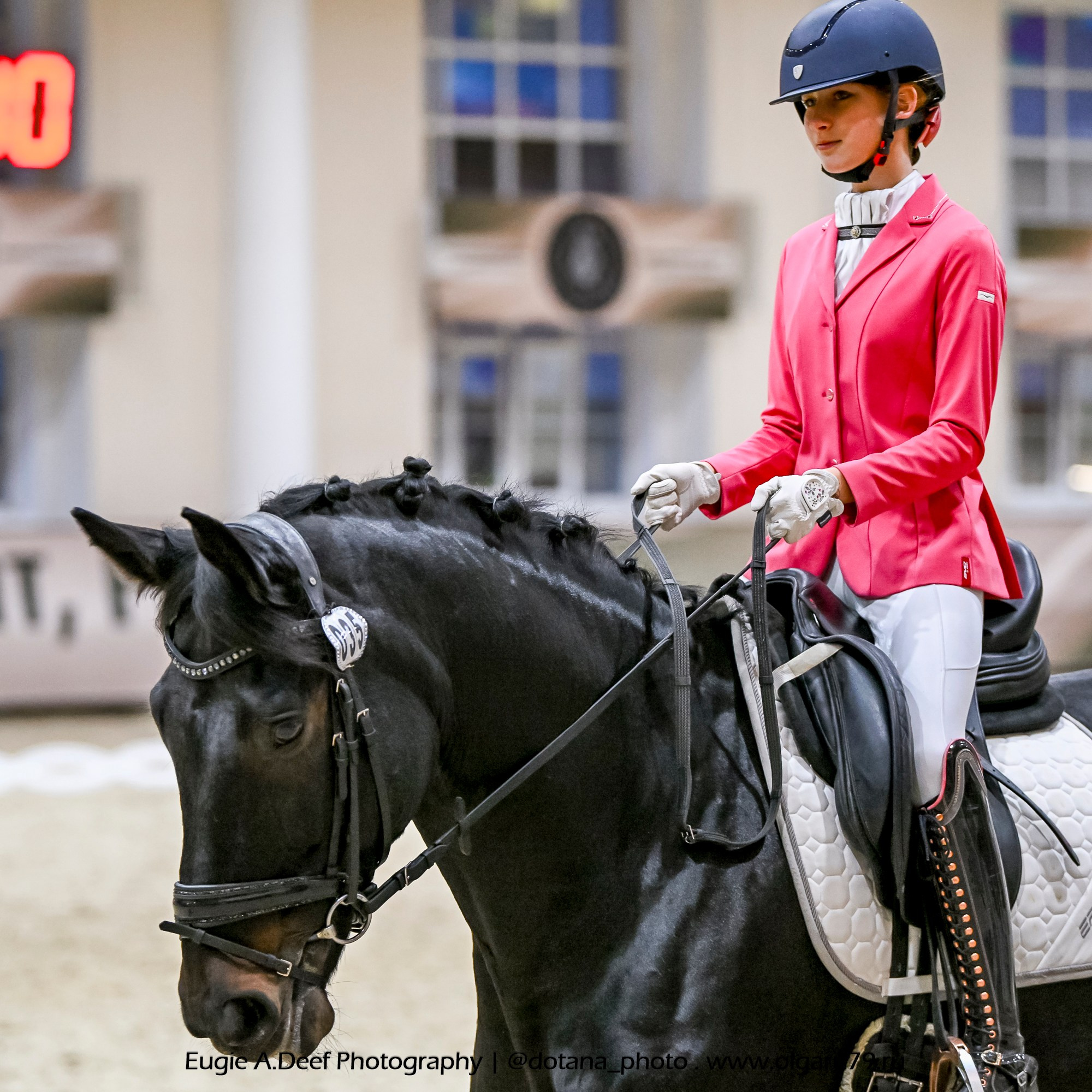 2025.10.30 и 31 — КСК Виват, Россия! (выездка). ТУРНИРНАЯ КОННАЯ ФОТОГРАФИЯ, Руднева Ольга и Евгений Адеев