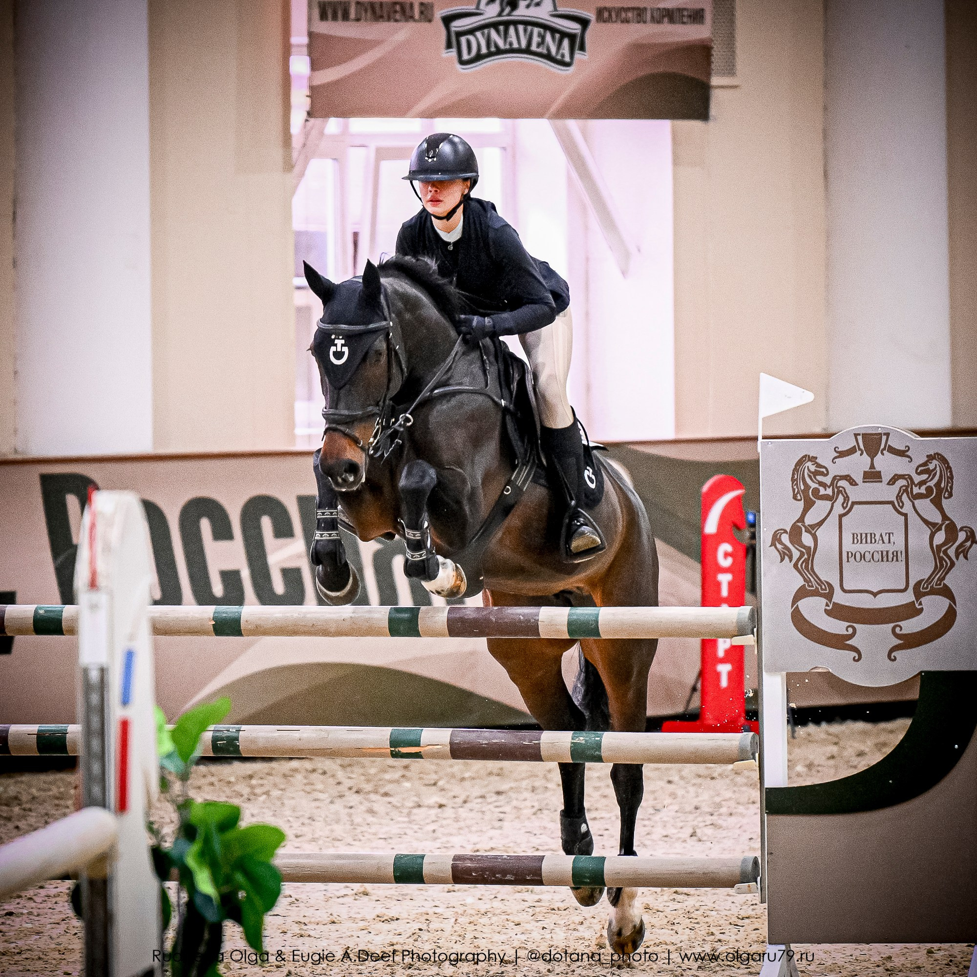 2025.10.26 — КСК Виват, Россия! конкур. ТУРНИРНАЯ КОННАЯ ФОТОГРАФИЯ, Руднева Ольга и Евгений Адеев