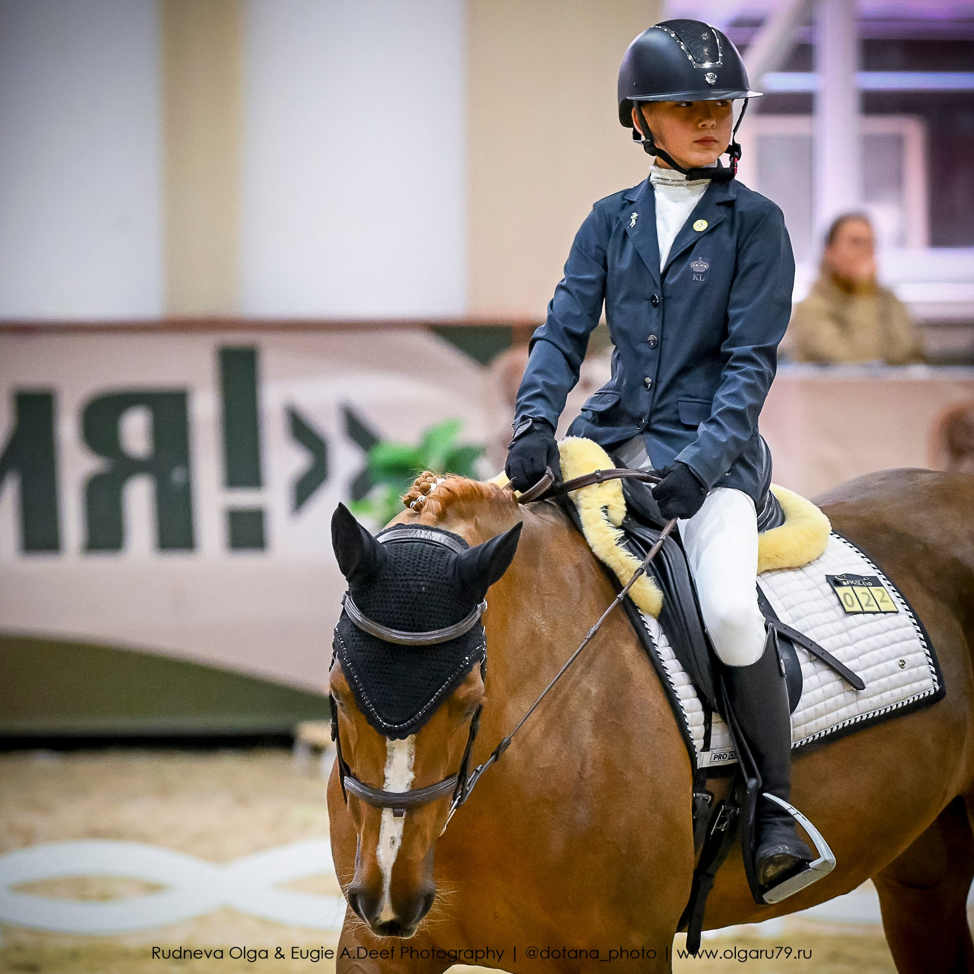 2025.10.30 и 31 — КСК Виват, Россия! (выездка). ТУРНИРНАЯ КОННАЯ ФОТОГРАФИЯ, Руднева Ольга и Евгений Адеев