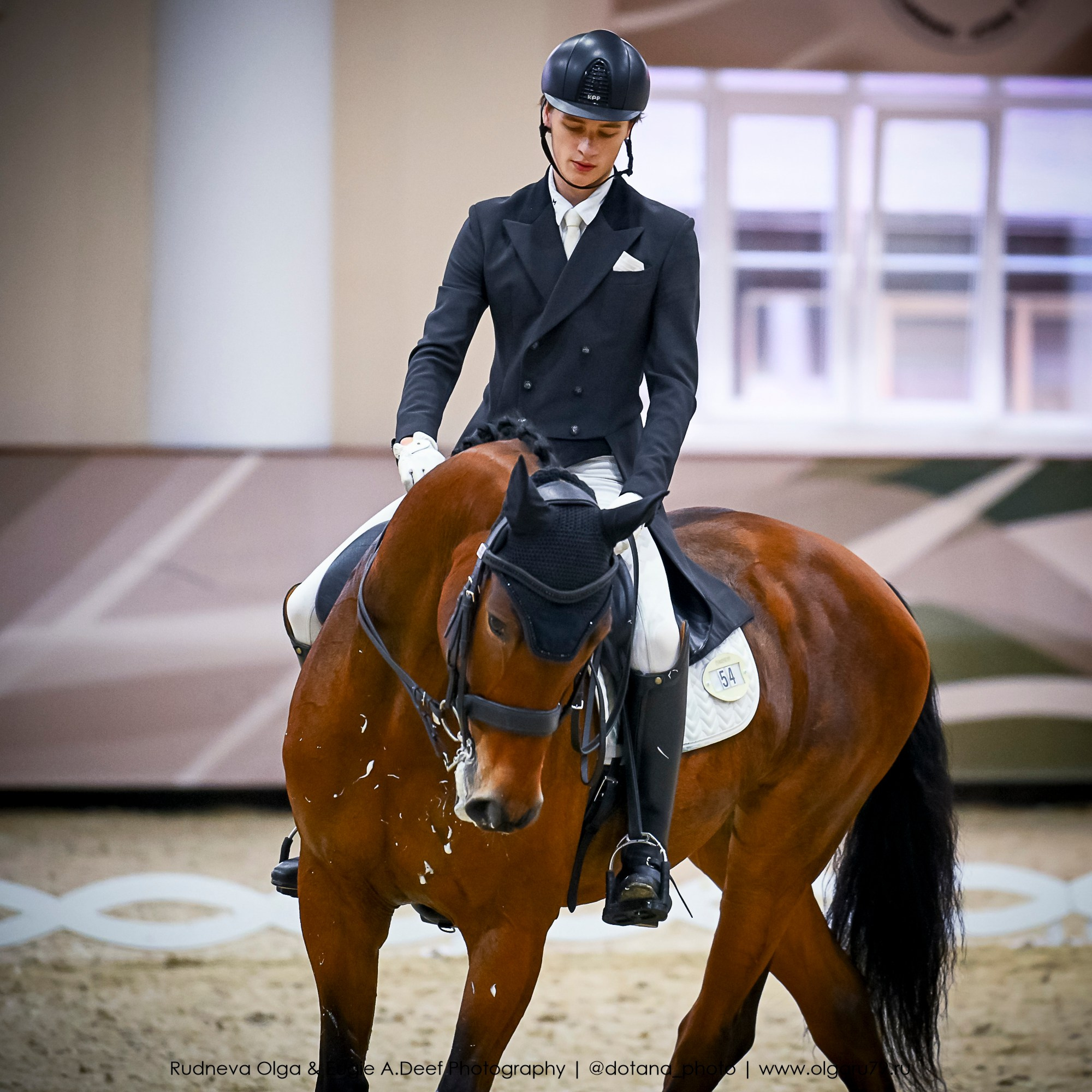 2025.10.30 и 31 — КСК Виват, Россия! (выездка). ТУРНИРНАЯ КОННАЯ ФОТОГРАФИЯ, Руднева Ольга и Евгений Адеев