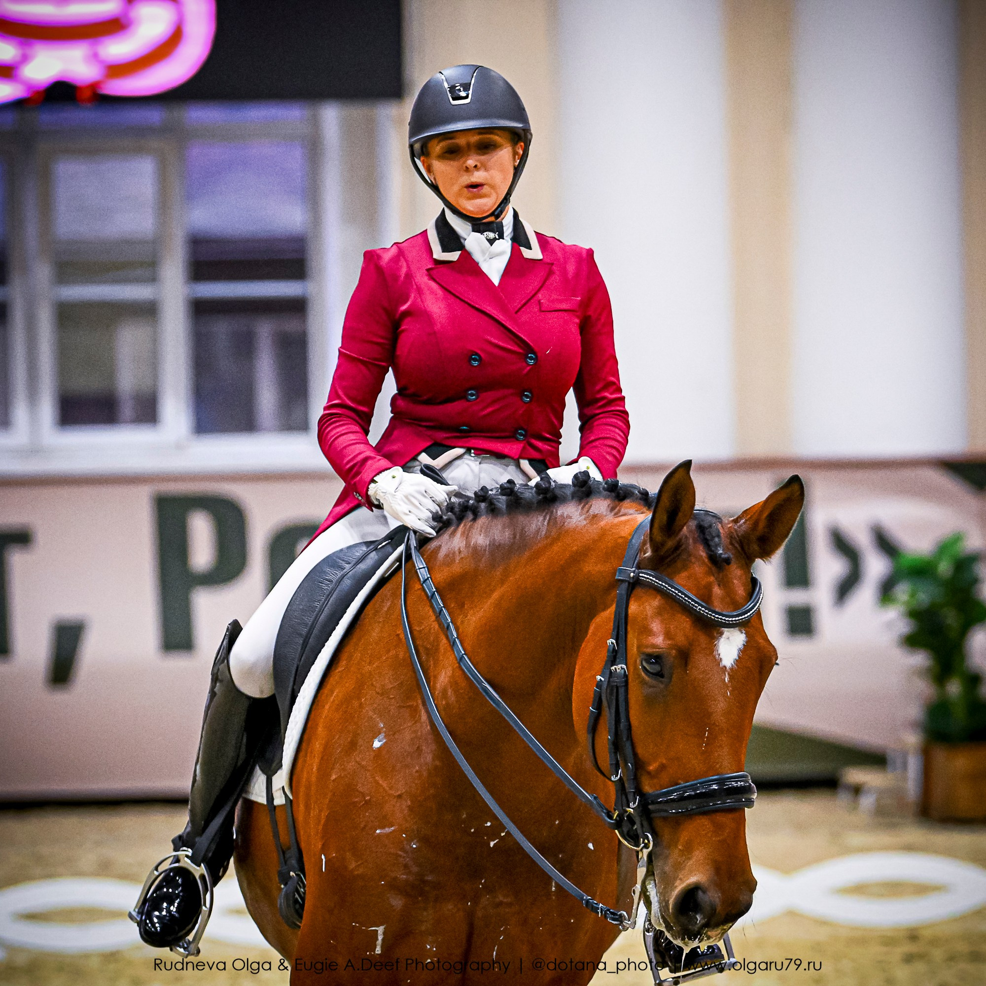 2025.10.30 и 31 — КСК Виват, Россия! (выездка). ТУРНИРНАЯ КОННАЯ ФОТОГРАФИЯ, Руднева Ольга и Евгений Адеев