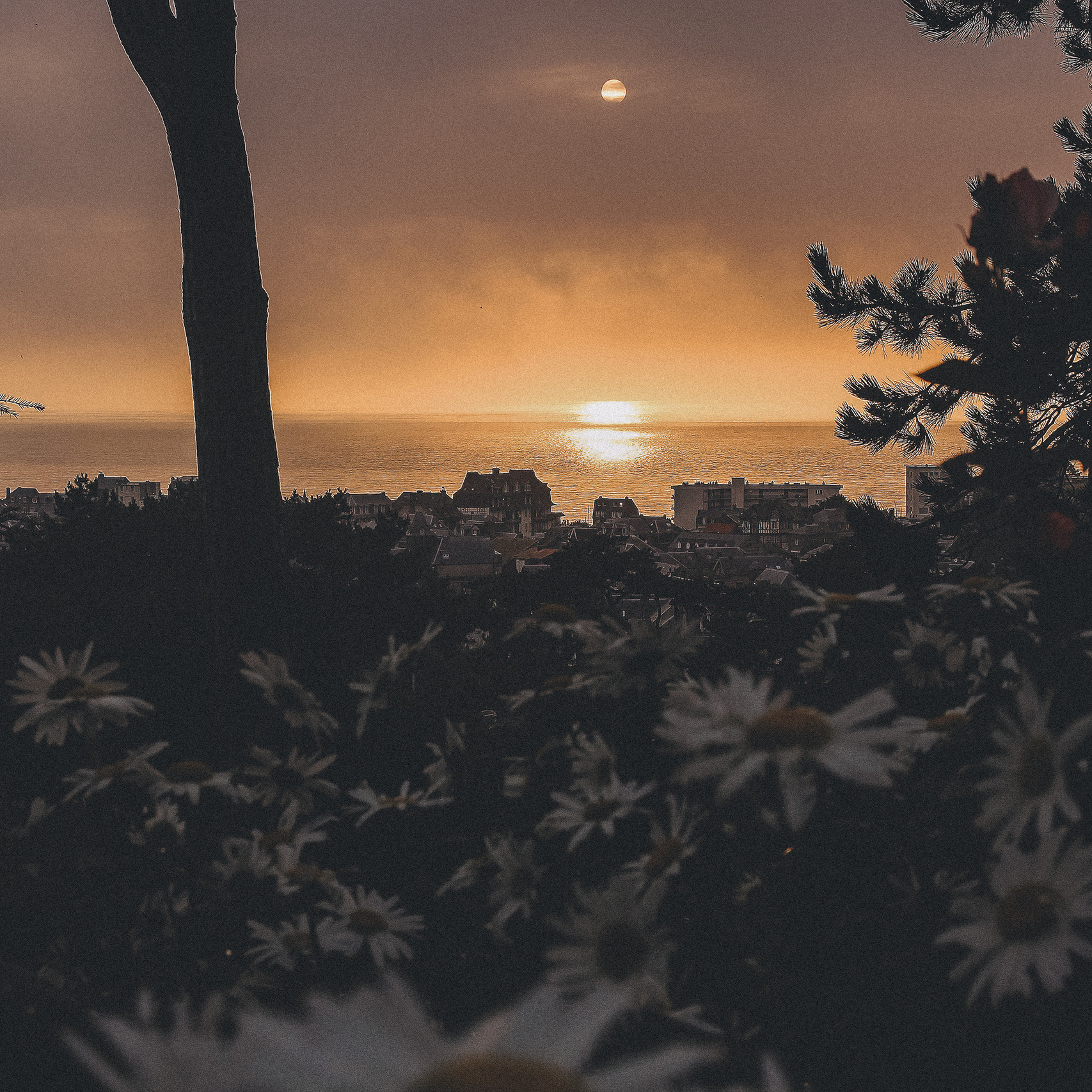 Свадьба во Франции. Семейный фотограф на крещение Кристина Фриденберга, Москва