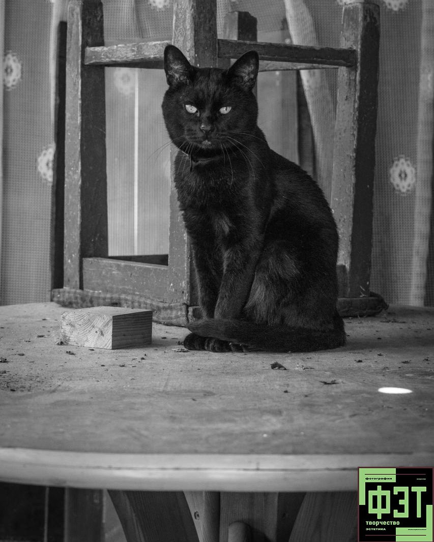 Альбом 25.01.26 в рамках ФЭТ