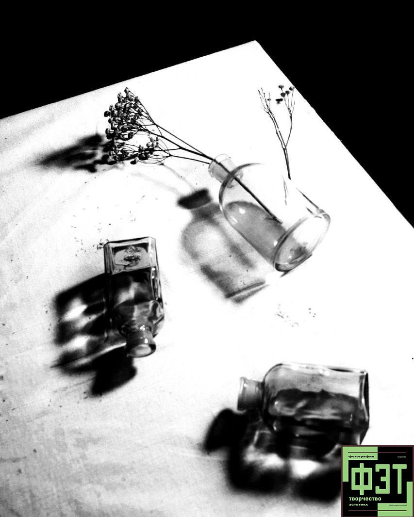 Альбом 25.01.26 в рамках ФЭТ