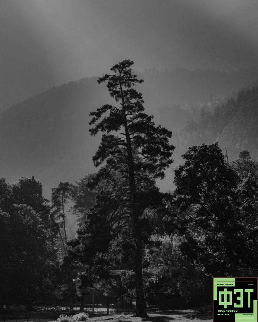 Наталья Переверзева