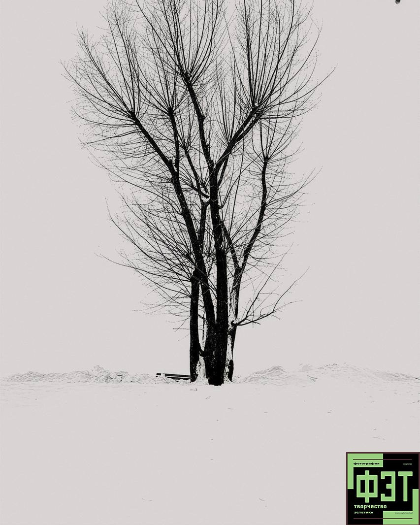 Альбом 25.01.26 в рамках ФЭТ