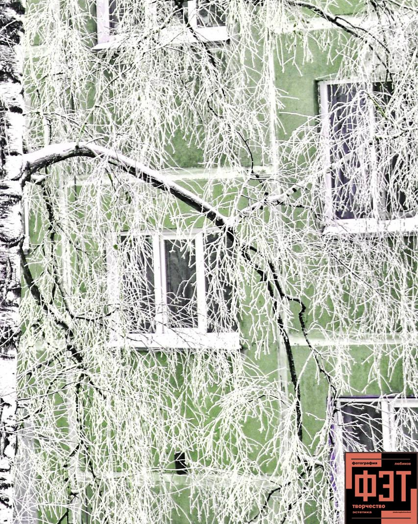 Альбом 18.01.26 проект ФЭТ