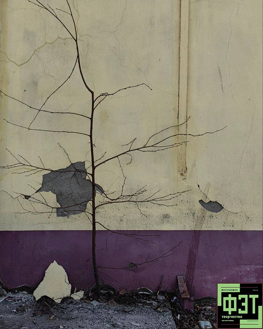 Наталья Переверзева