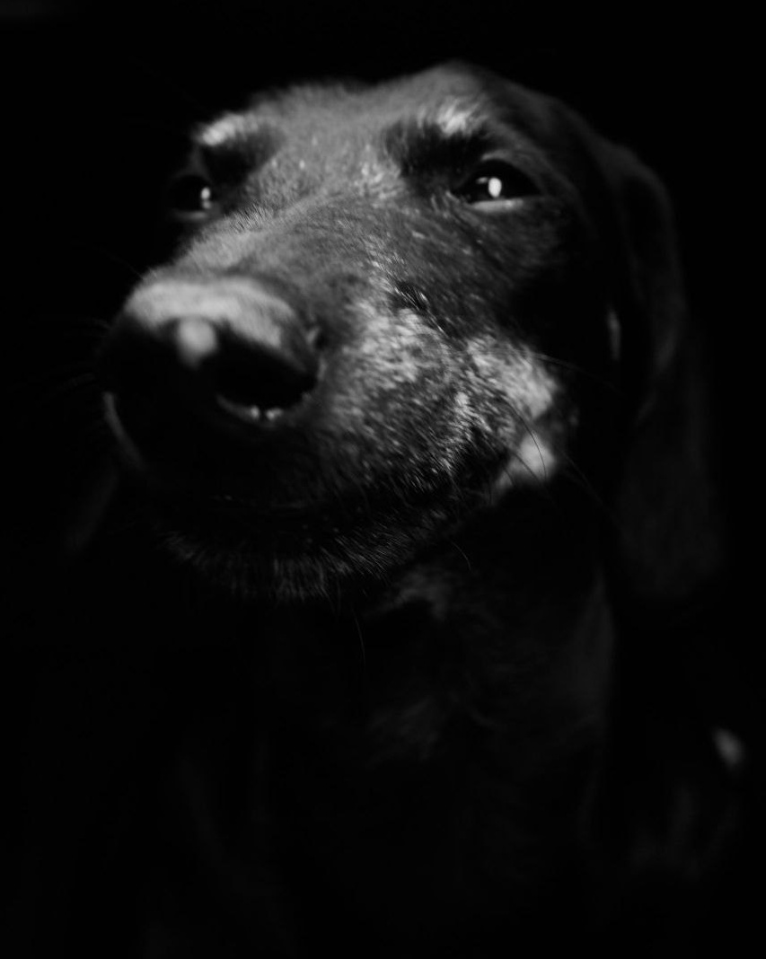 Прайс. Фотограф Никонова Софья