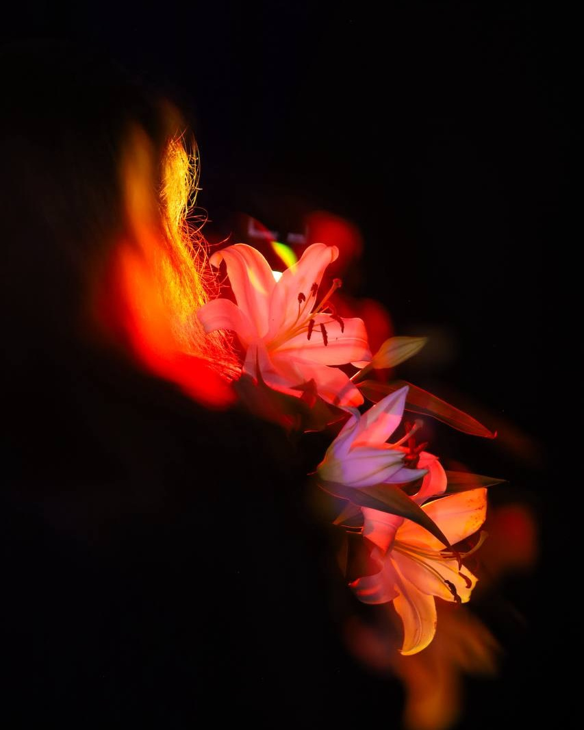 Обо мне. Manuphoto.ru