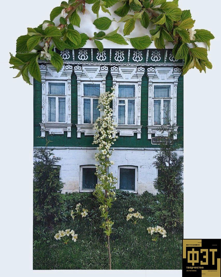 Выбор зрителей 23.11.25