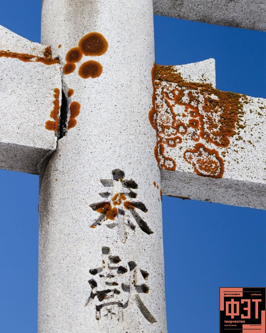 Альбом 12.04.26 в рамках ФЭТ