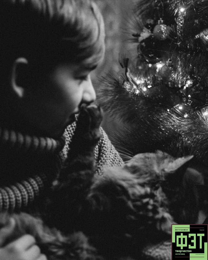 Альбом 04.01.26