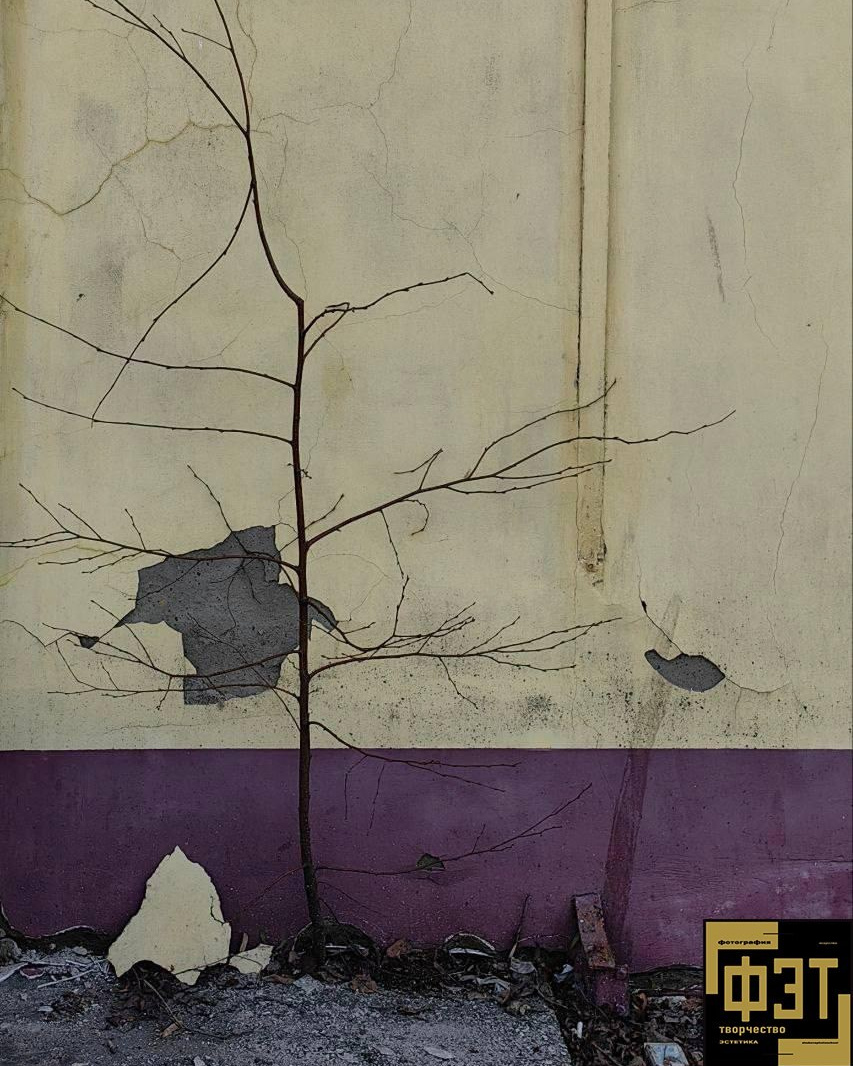 Выбор зрителей 14.12.25