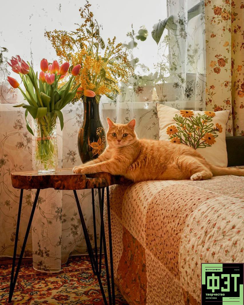 Наталья Переверзева