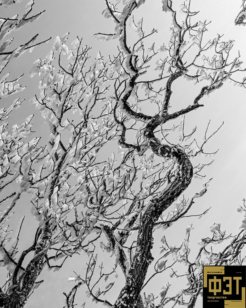 Наталья Переверзева